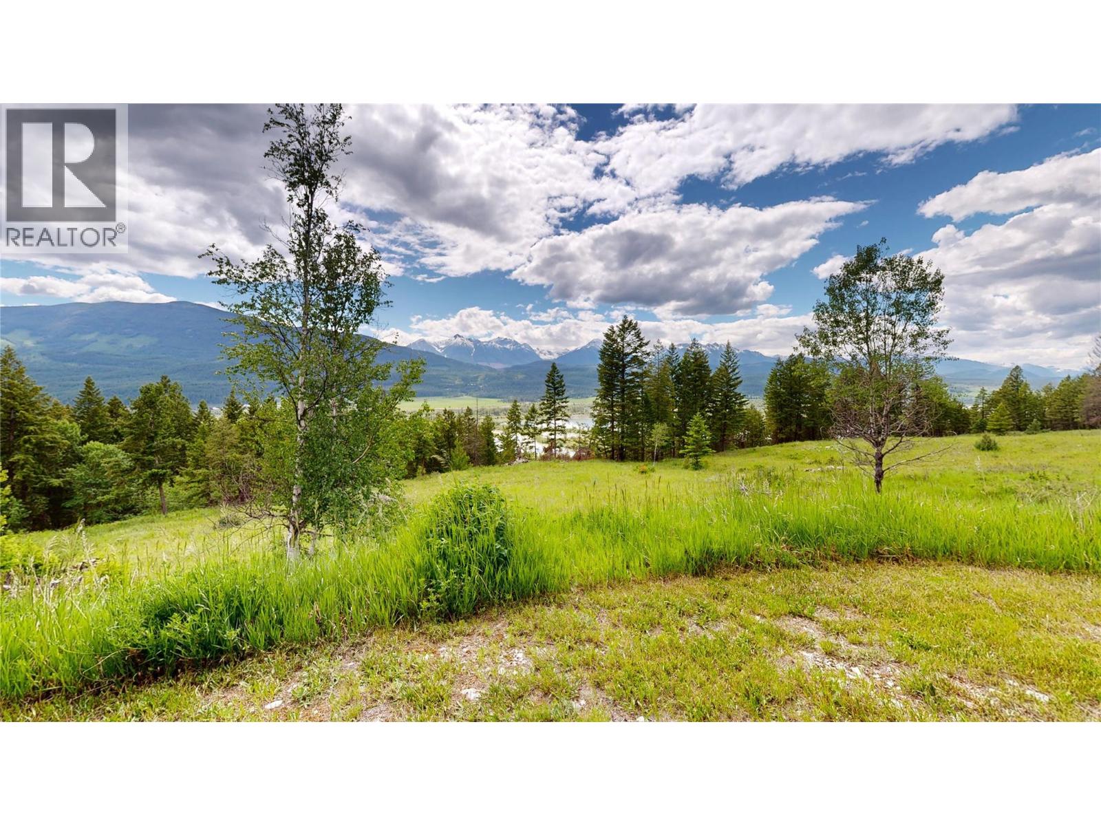 2660 95 Highway, Brisco, British Columbia  V0A 1B0 - Photo 32 - 10390601