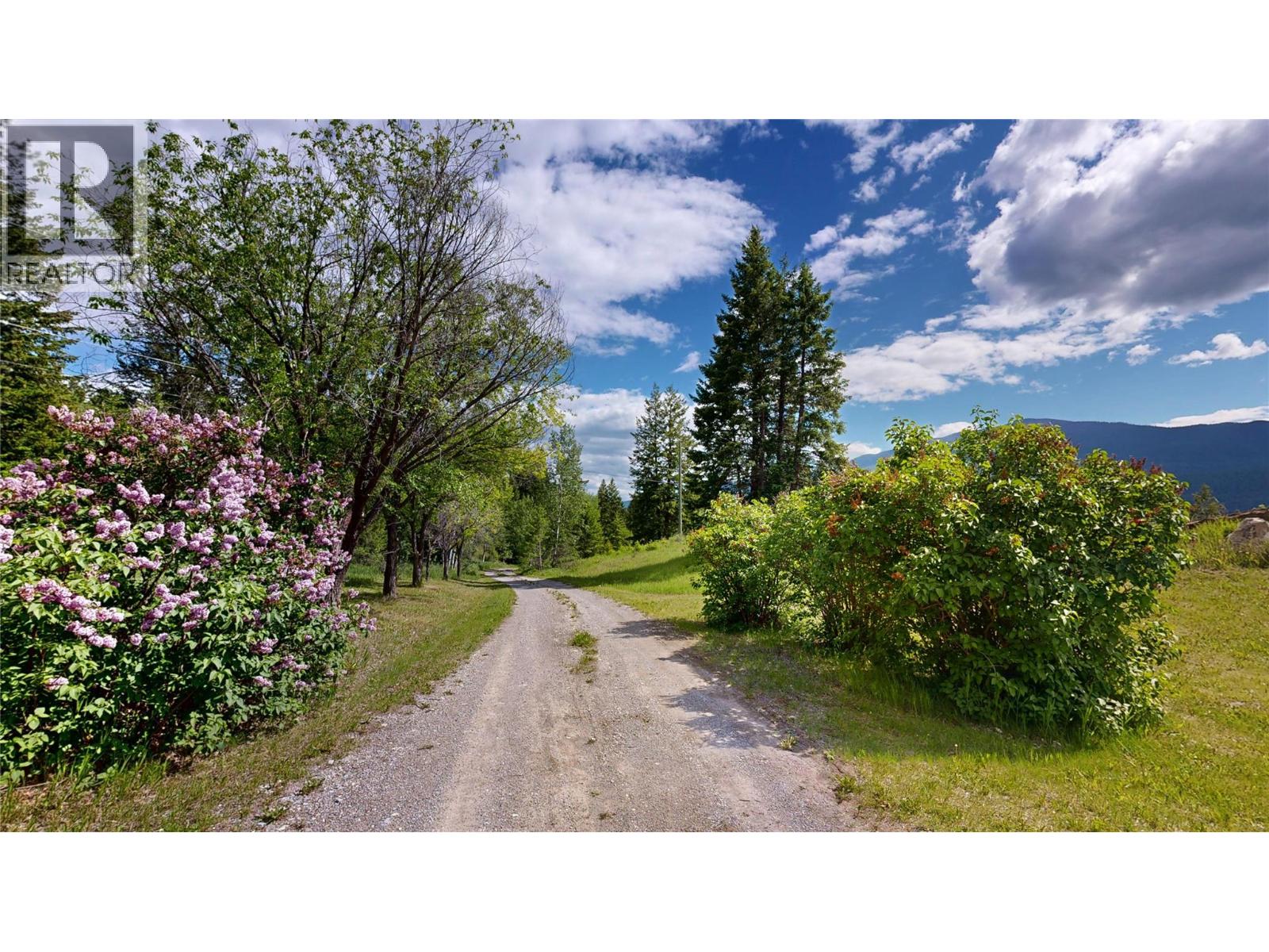 2660 95 Highway, Brisco, British Columbia  V0A 1B0 - Photo 38 - 10390601