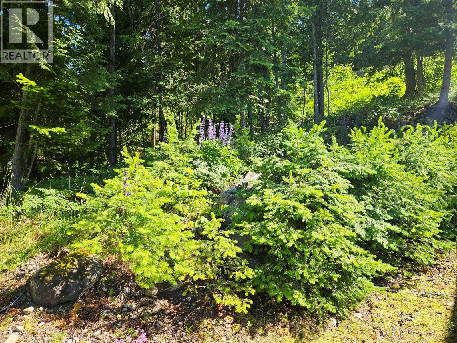 1710 6 Highway, Nakusp, British Columbia  V0G 1R1 - Photo 48 - 10390754