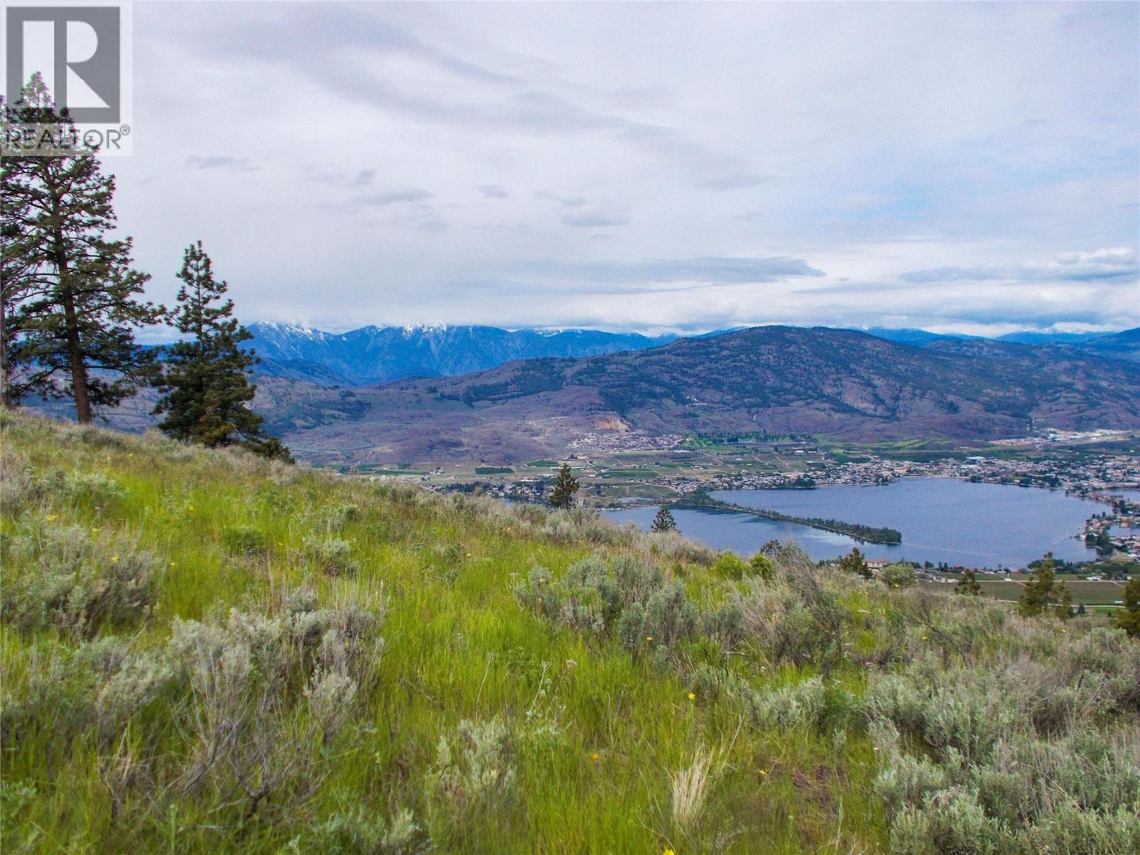 1345 3 Highway, Osoyoos, British Columbia  V0H 1V6 - Photo 11 - 10390677