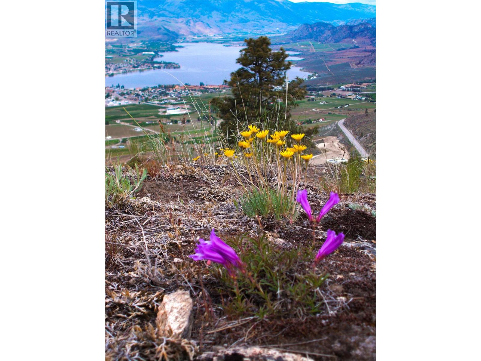 1345 3 Highway, Osoyoos, British Columbia  V0H 1V6 - Photo 13 - 10390677