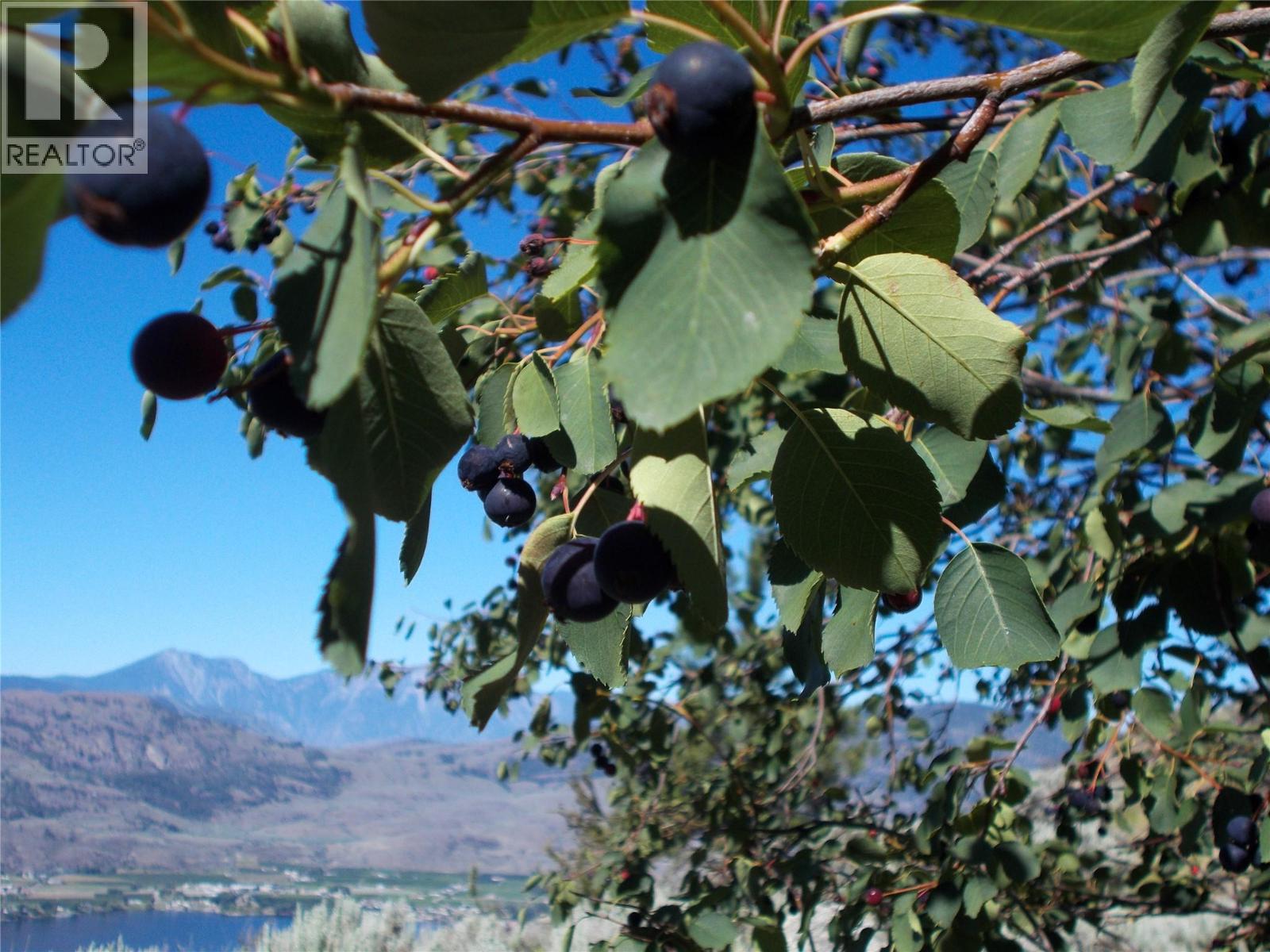 1345 3 Highway, Osoyoos, British Columbia  V0H 1V6 - Photo 15 - 10390677