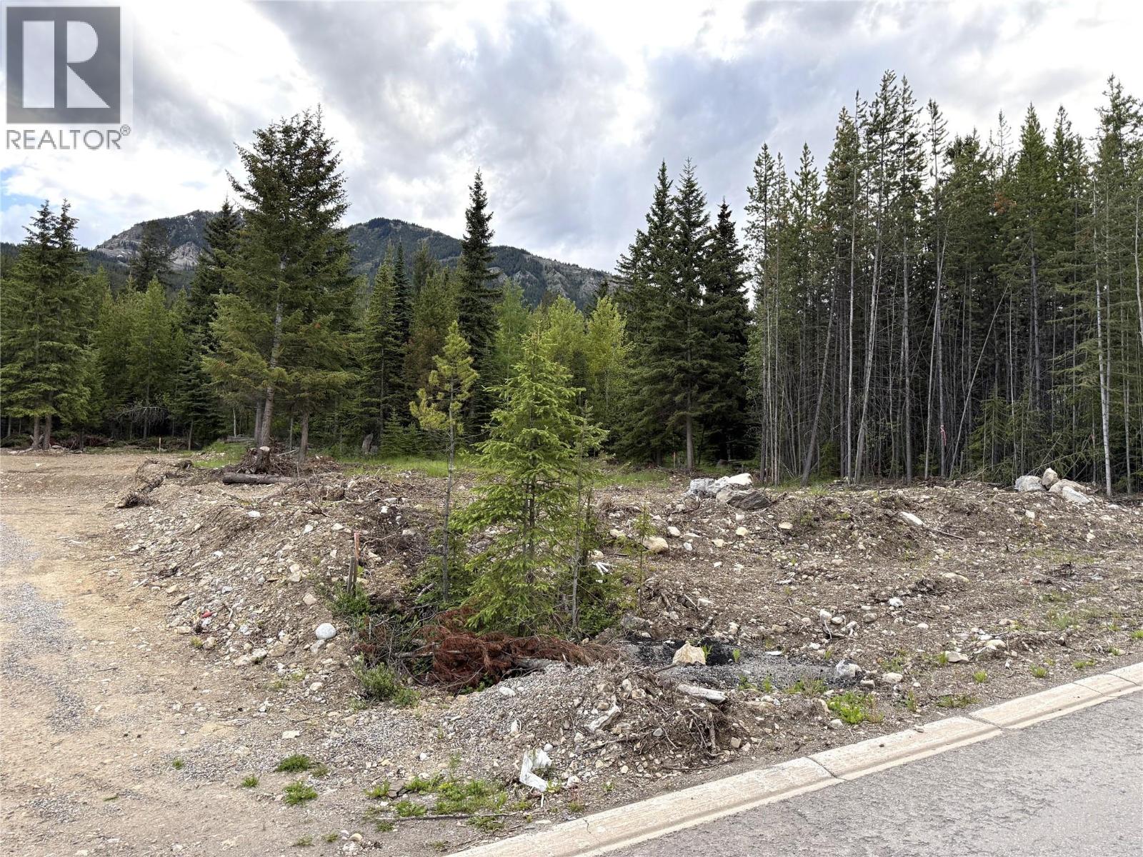 81 Deerborne Drive, Elkford, British Columbia  V0B 1H0 - Photo 3 - 10390678