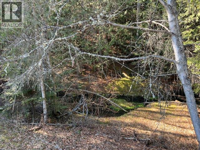 3621 MUZZY Road, canyon, British Columbia