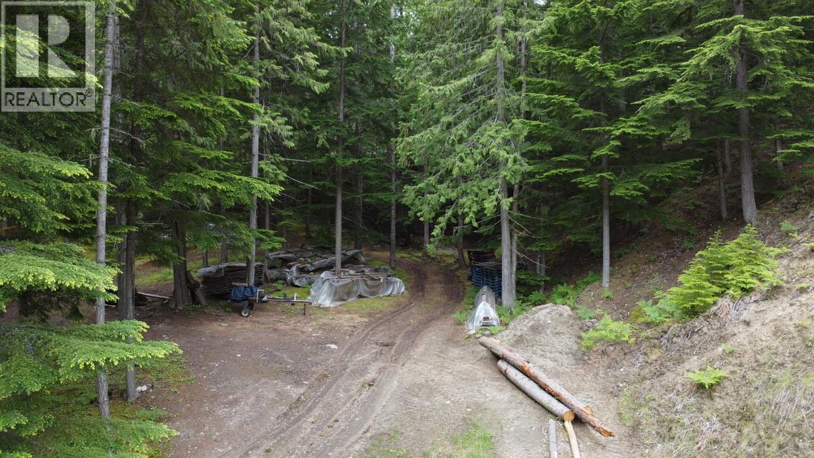 8254 Procter East Road, Procter, British Columbia  V1L 0B6 - Photo 39 - 10390125