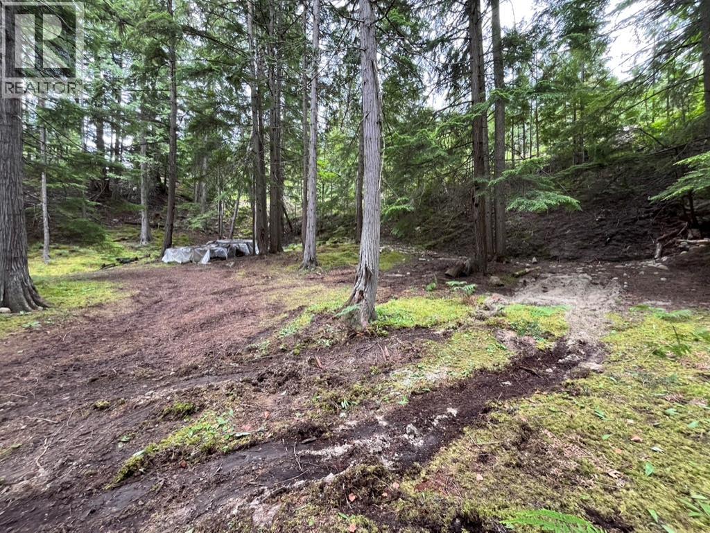 8254 Procter East Road, Procter, British Columbia  V1L 0B6 - Photo 40 - 10390125