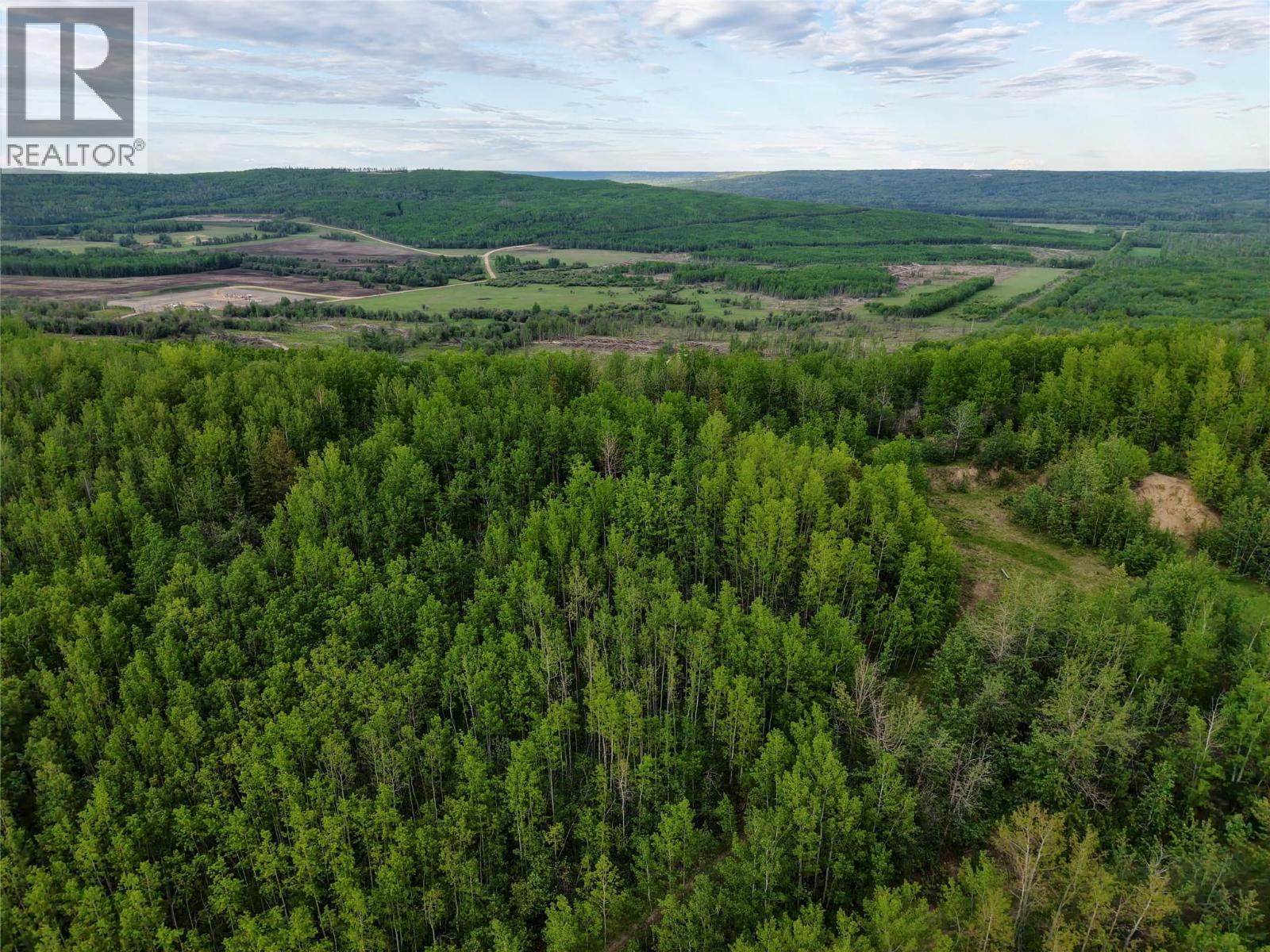 Lot 1 Kendrew Subdivision, Pouce Coupe, British Columbia  V0C 2C0 - Photo 4 - 10390832