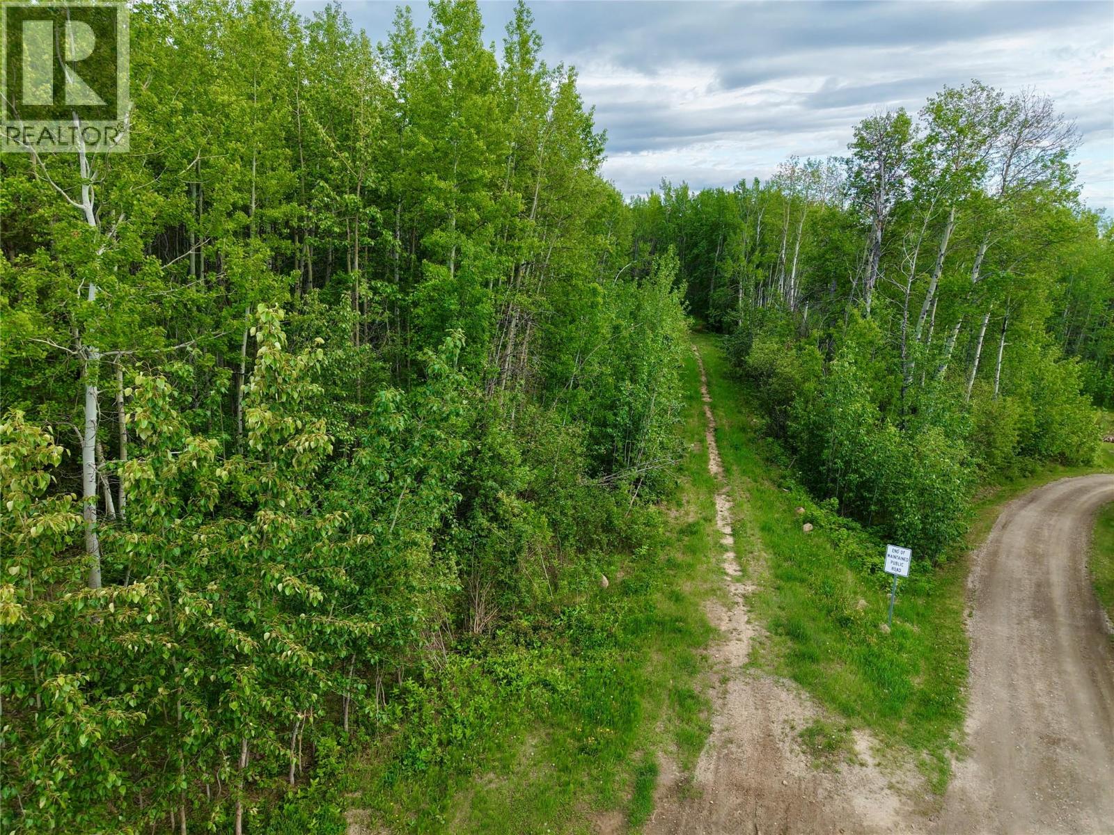 Lot 1 Kendrew Subdivision, Pouce Coupe, British Columbia  V0C 2C0 - Photo 7 - 10390832
