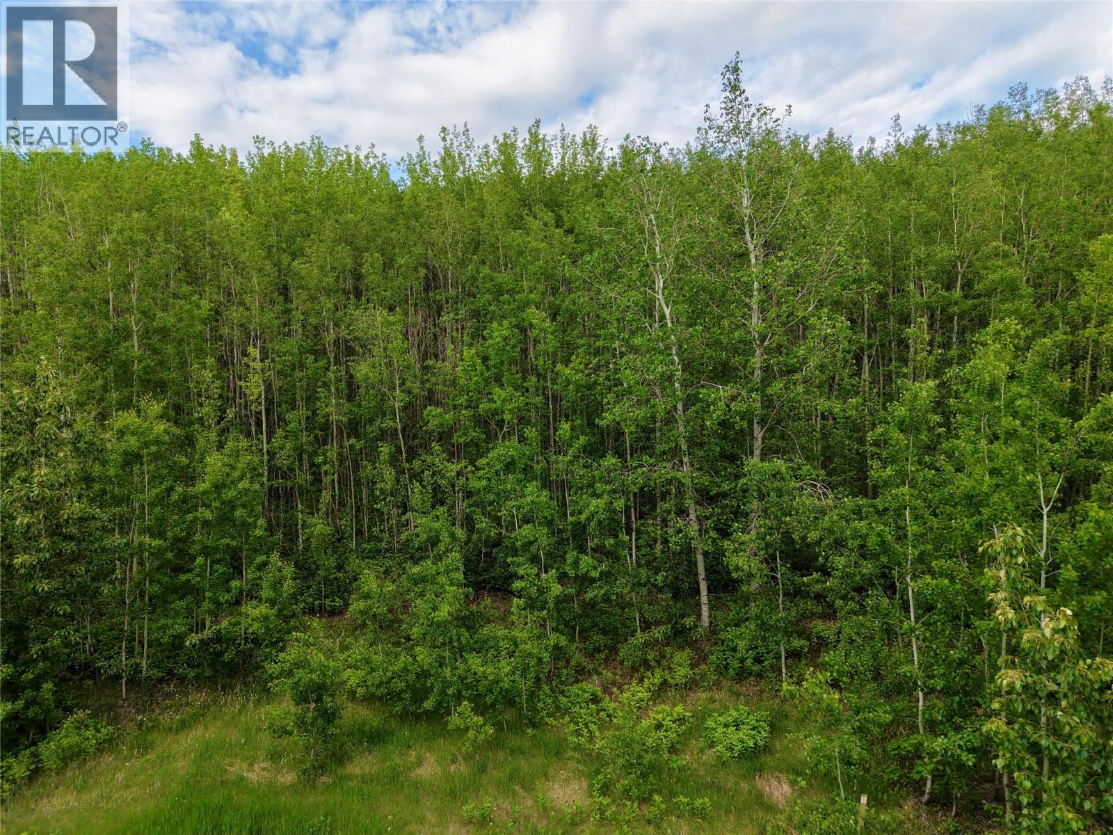 Lot 1 Kendrew Subdivision, Pouce Coupe, British Columbia  V0C 2C0 - Photo 8 - 10390832