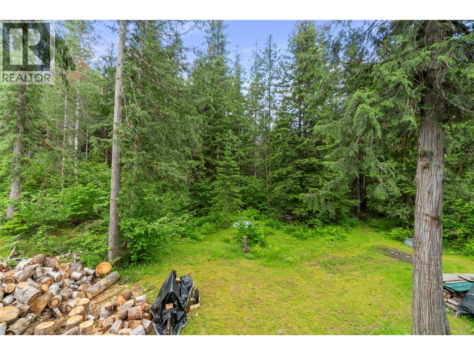 1598 Quast Road, Seymour Arm, British Columbia  V0E 2V2 - Photo 33 - 10390994