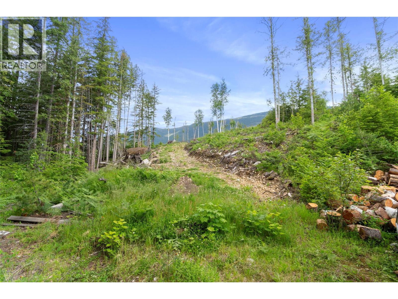 1598 Quast Road, Seymour Arm, British Columbia  V0E 2V2 - Photo 55 - 10390994
