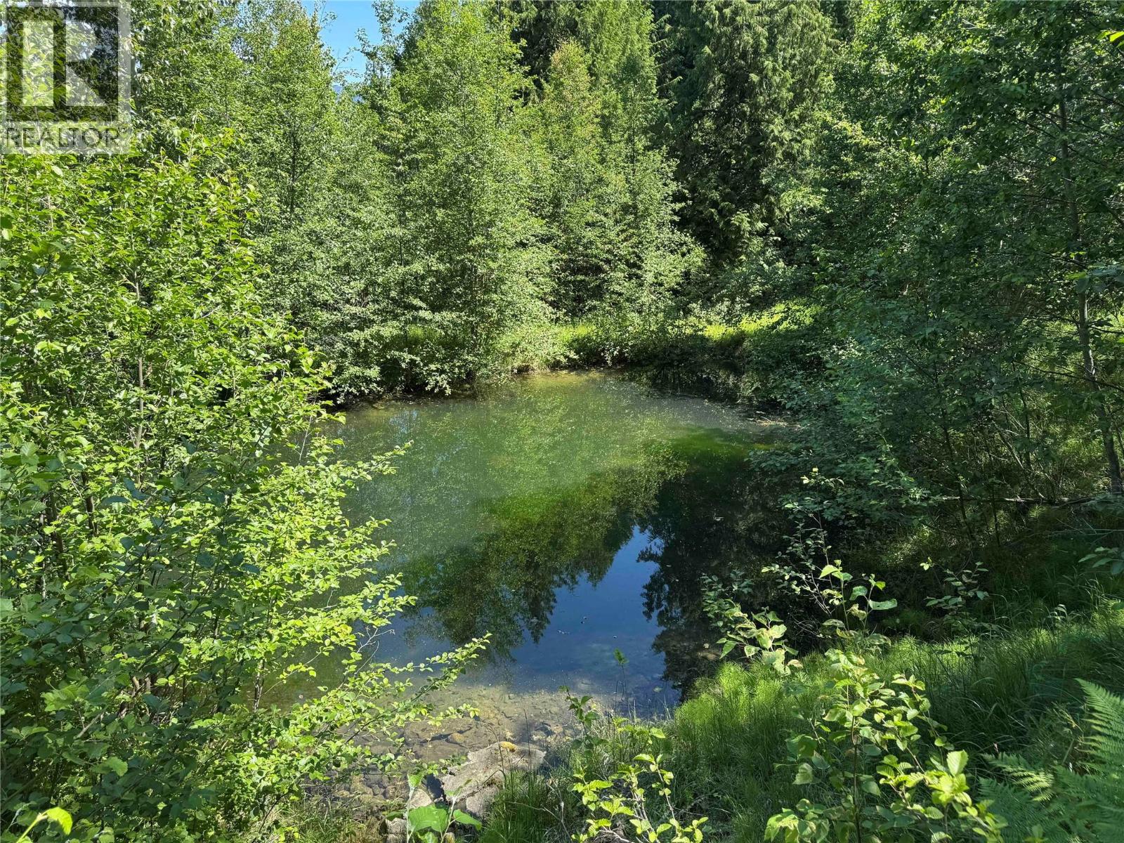 4399 Bird Creek Road, Nelson, British Columbia  V1L 6X2 - Photo 4 - 10390895