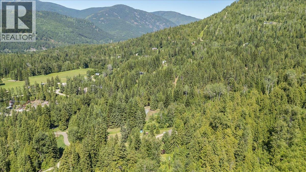 4399 Bird Creek Road, Nelson, British Columbia  V1L 6X2 - Photo 66 - 10390895