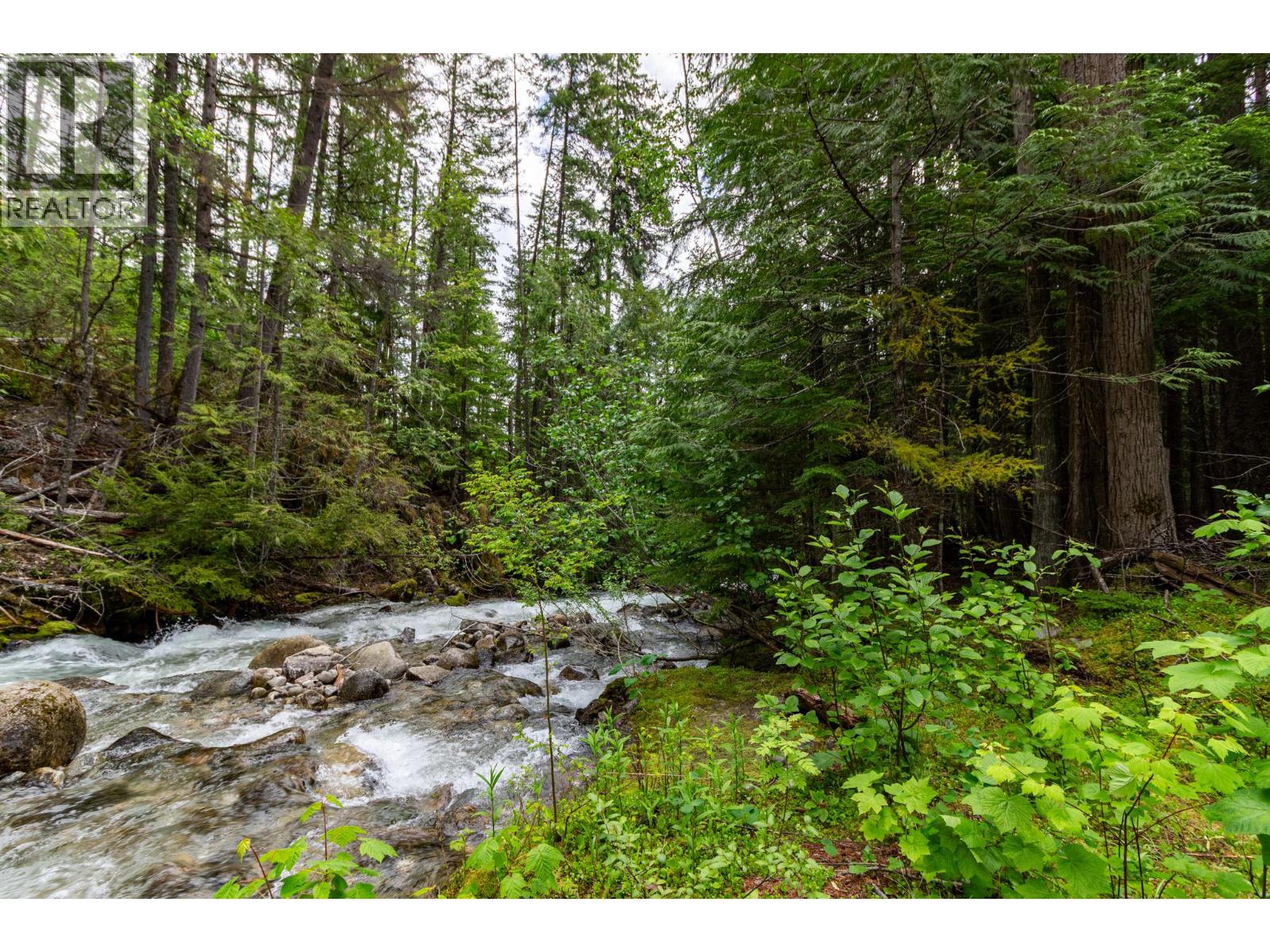 3975 Highway 3a Highway, Nelson, British Columbia  V1L 6M8 - Photo 45 - 10390819