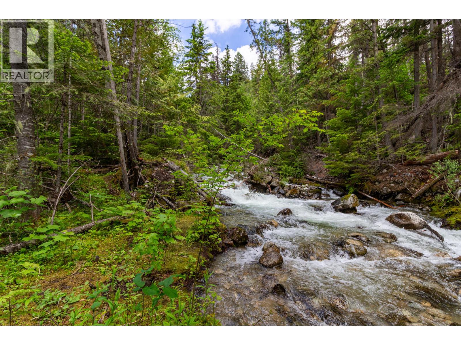 3975 Highway 3a Highway, Nelson, British Columbia  V1L 6M8 - Photo 46 - 10390819