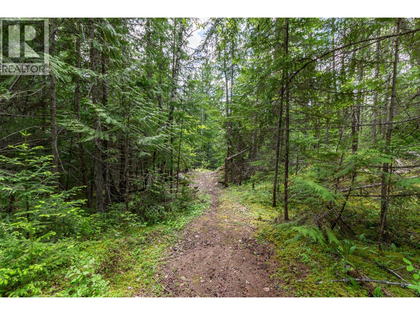 3975 Highway 3a Highway, Nelson, British Columbia  V1L 6M8 - Photo 47 - 10390819
