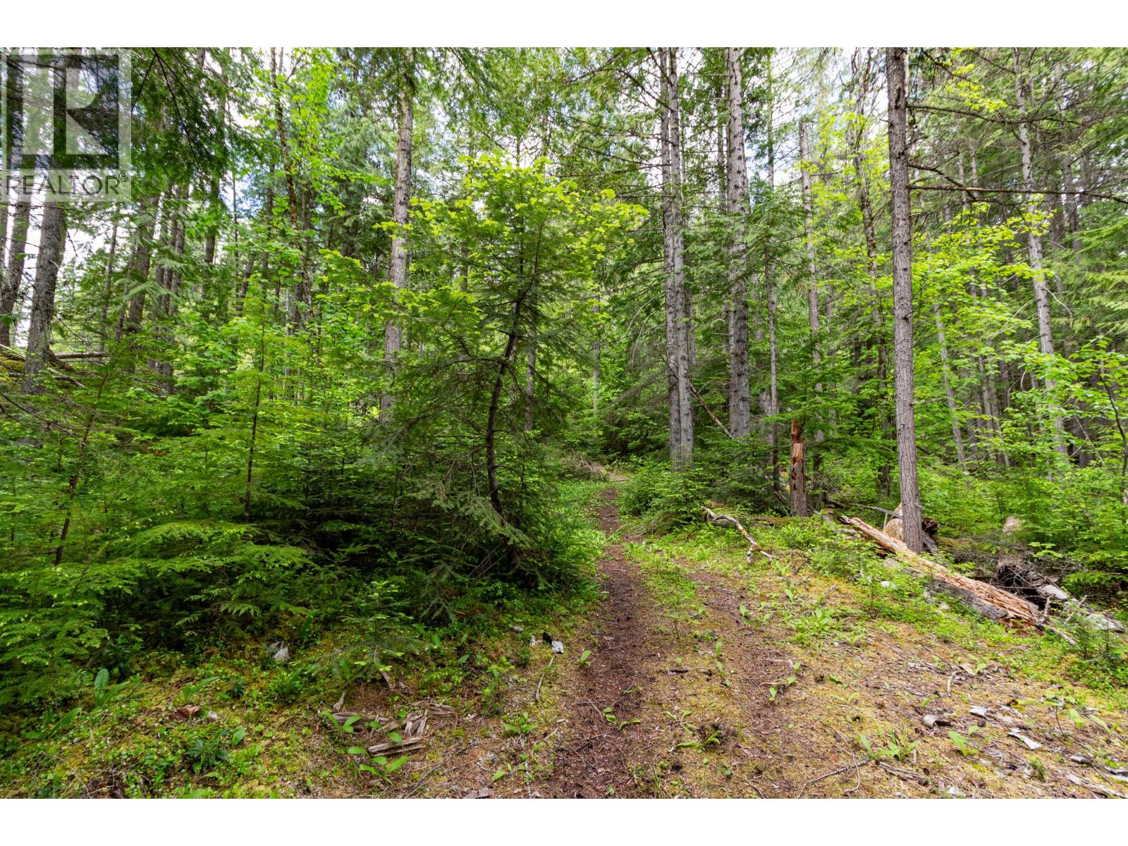 3975 Highway 3a Highway, Nelson, British Columbia  V1L 6M8 - Photo 48 - 10390819