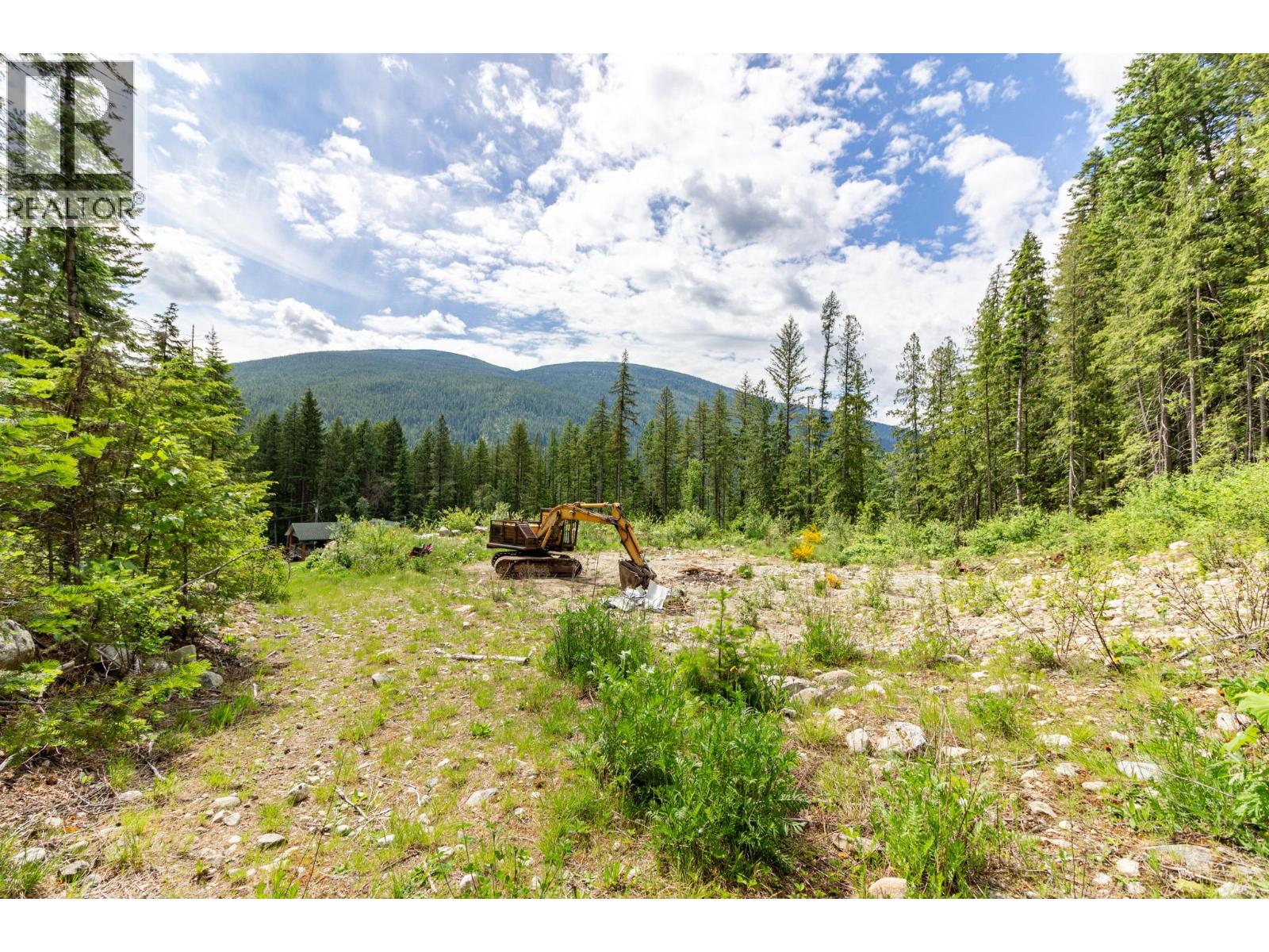 3975 Highway 3a Highway, Nelson, British Columbia  V1L 6M8 - Photo 49 - 10390819
