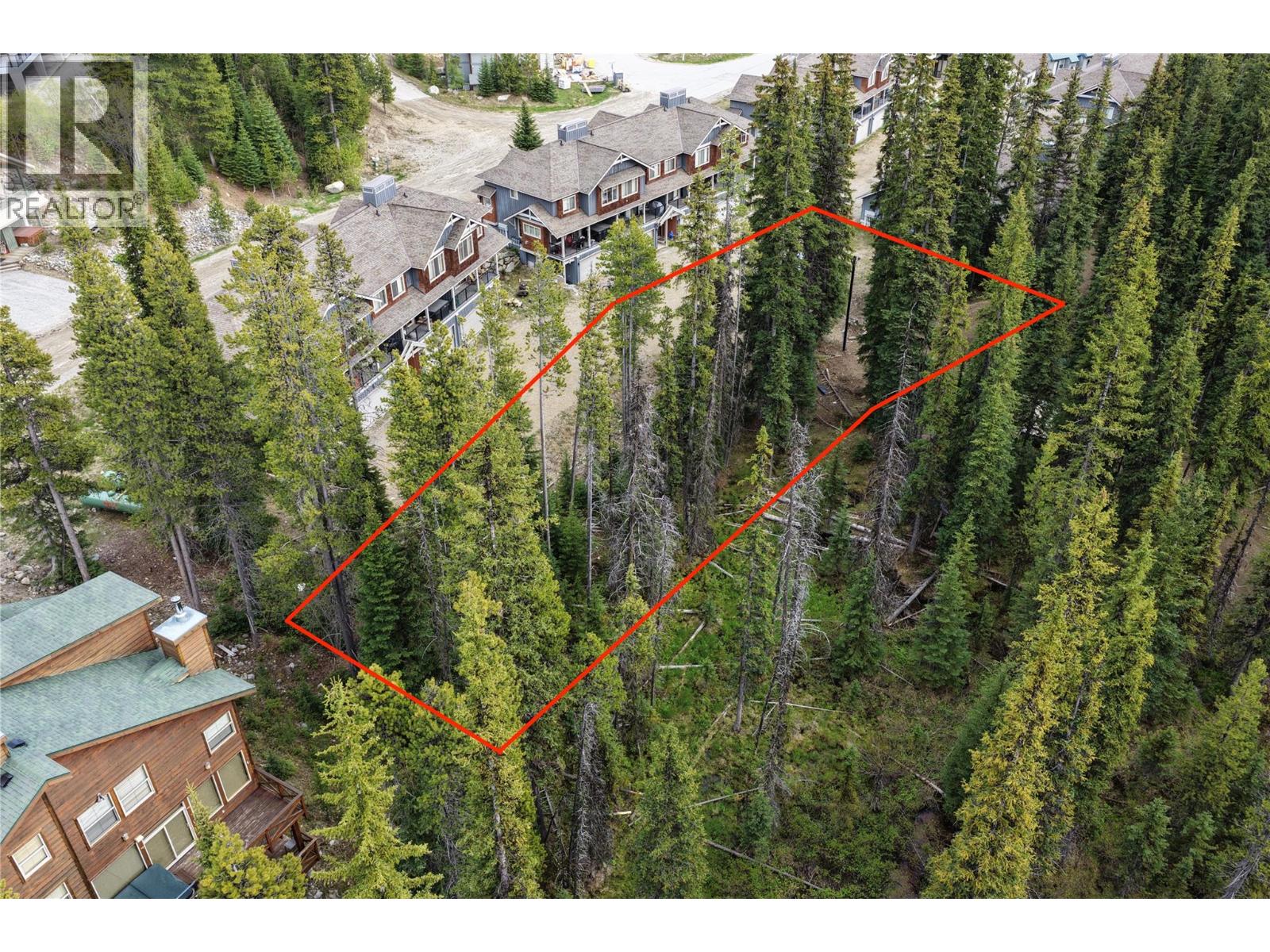 220 Clearview Road, Apex Mountain, British Columbia  V0X 1K0 - Photo 7 - 10389189