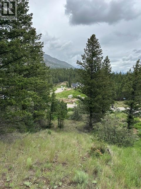 Lot 20 Berland Bend Lot# 20, Windermere, British Columbia  V0B 2L0 - Photo 2 - 10391035
