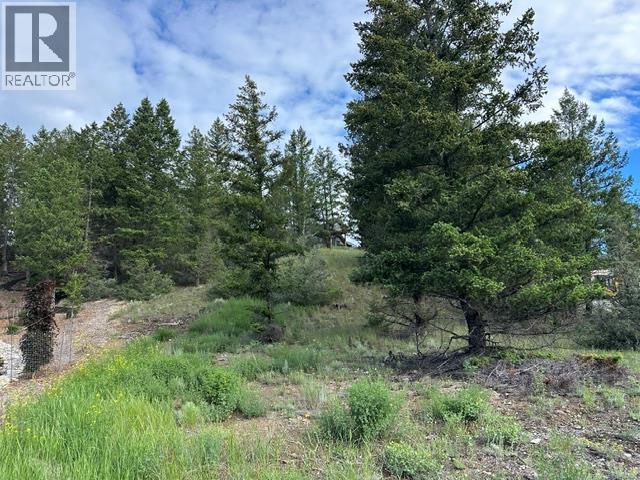 Lot 20 Berland Bend Lot# 20, Windermere, British Columbia  V0B 2L0 - Photo 3 - 10391035