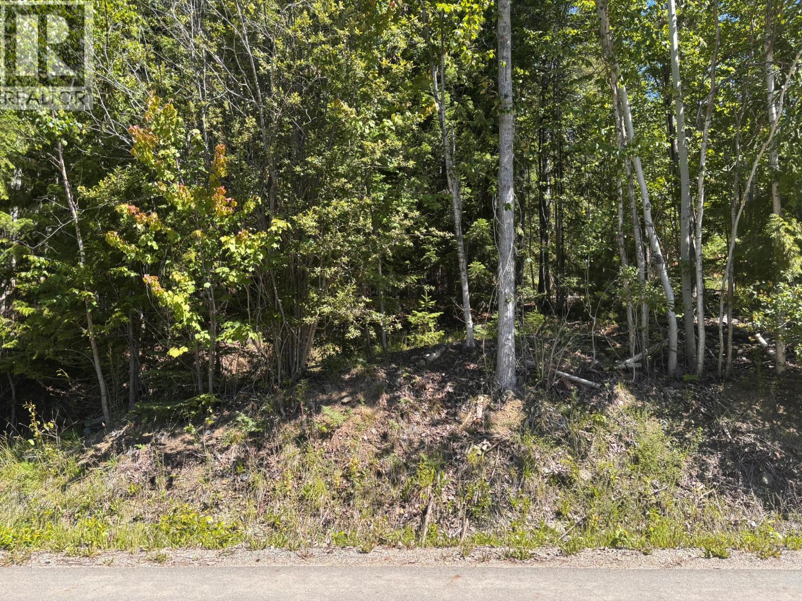 Lot 131 Aspen Road, Anglemont, British Columbia  V0E 1M8 - Photo 2 - 10391002