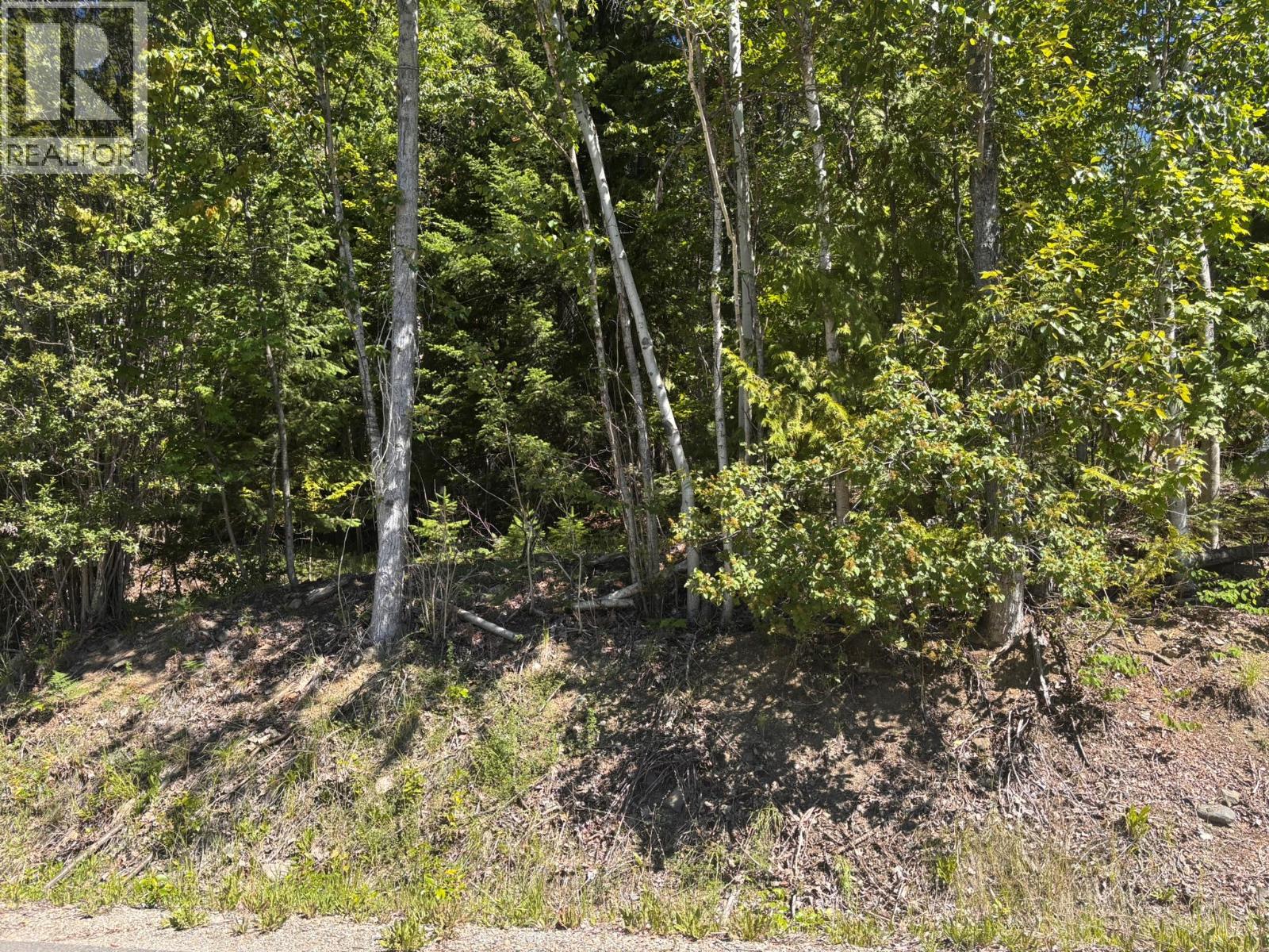 Lot 131 Aspen Road, Anglemont, British Columbia  V0E 1M8 - Photo 3 - 10391002