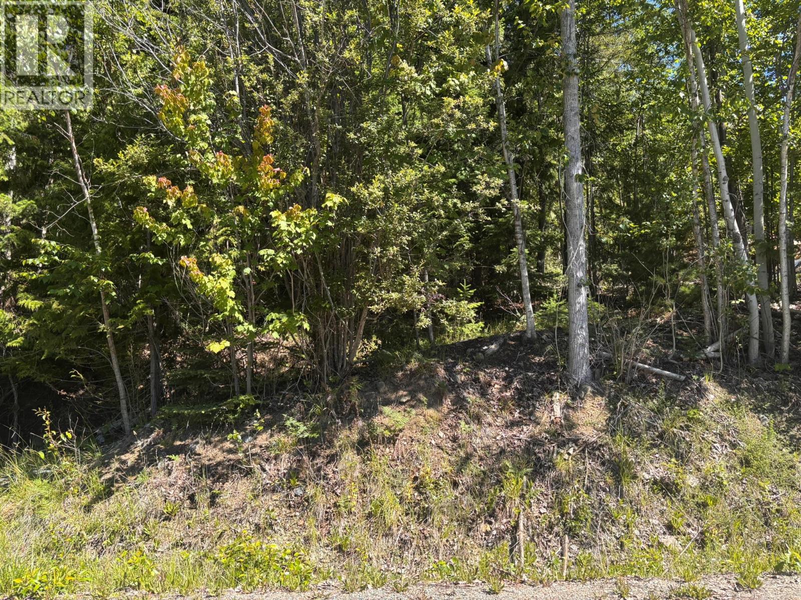 Lot 131 Aspen Road, Anglemont, British Columbia  V0E 1M8 - Photo 4 - 10391002