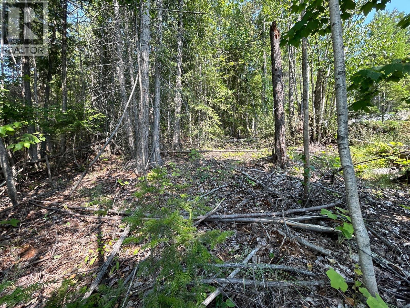 Lot 131 Aspen Road, Anglemont, British Columbia  V0E 1M8 - Photo 5 - 10391002