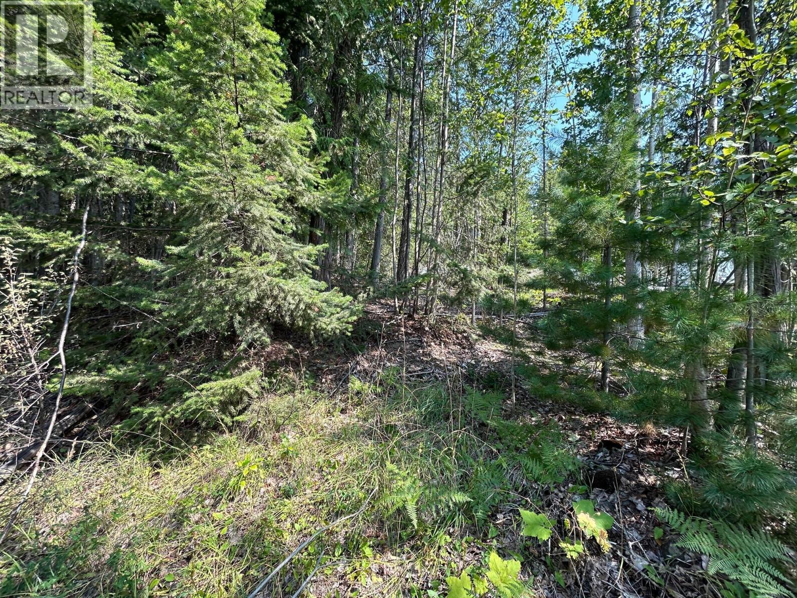 Lot 131 Aspen Road, Anglemont, British Columbia  V0E 1M8 - Photo 6 - 10391002