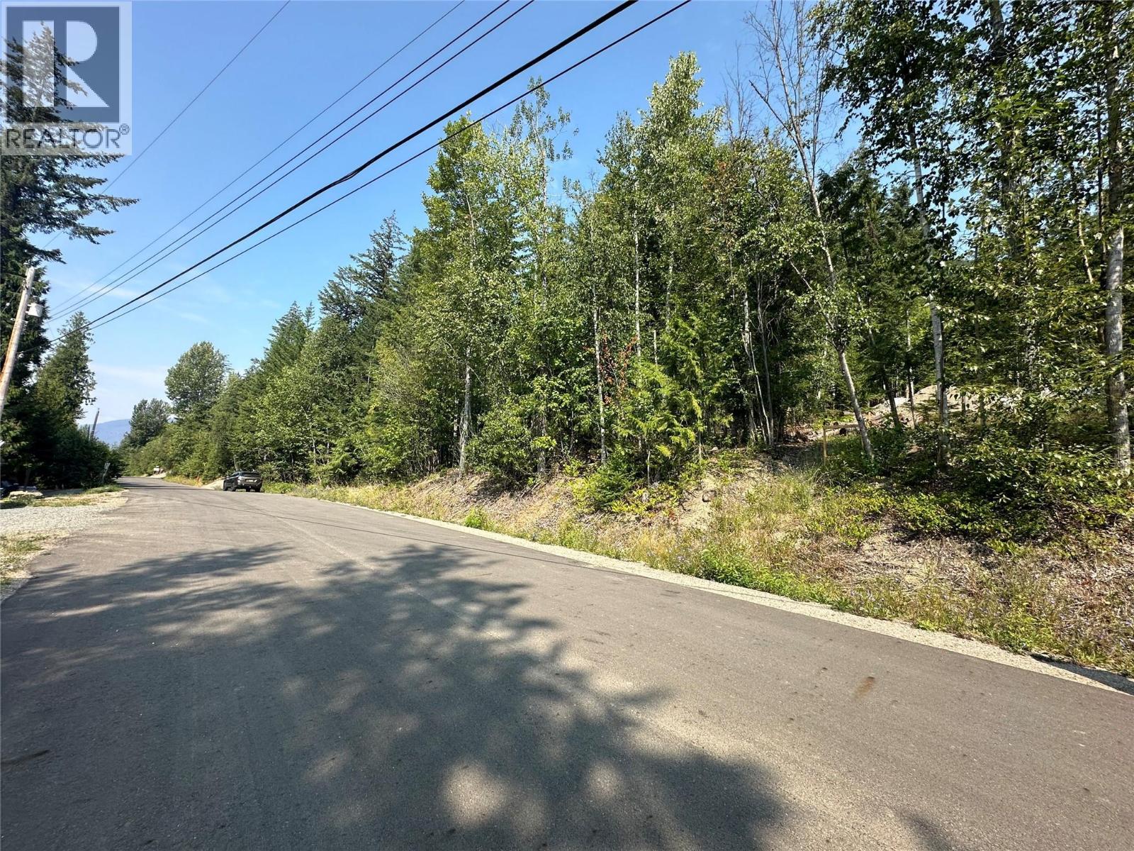 Lot 131 Aspen Road, Anglemont, British Columbia  V0E 1M8 - Photo 8 - 10391002