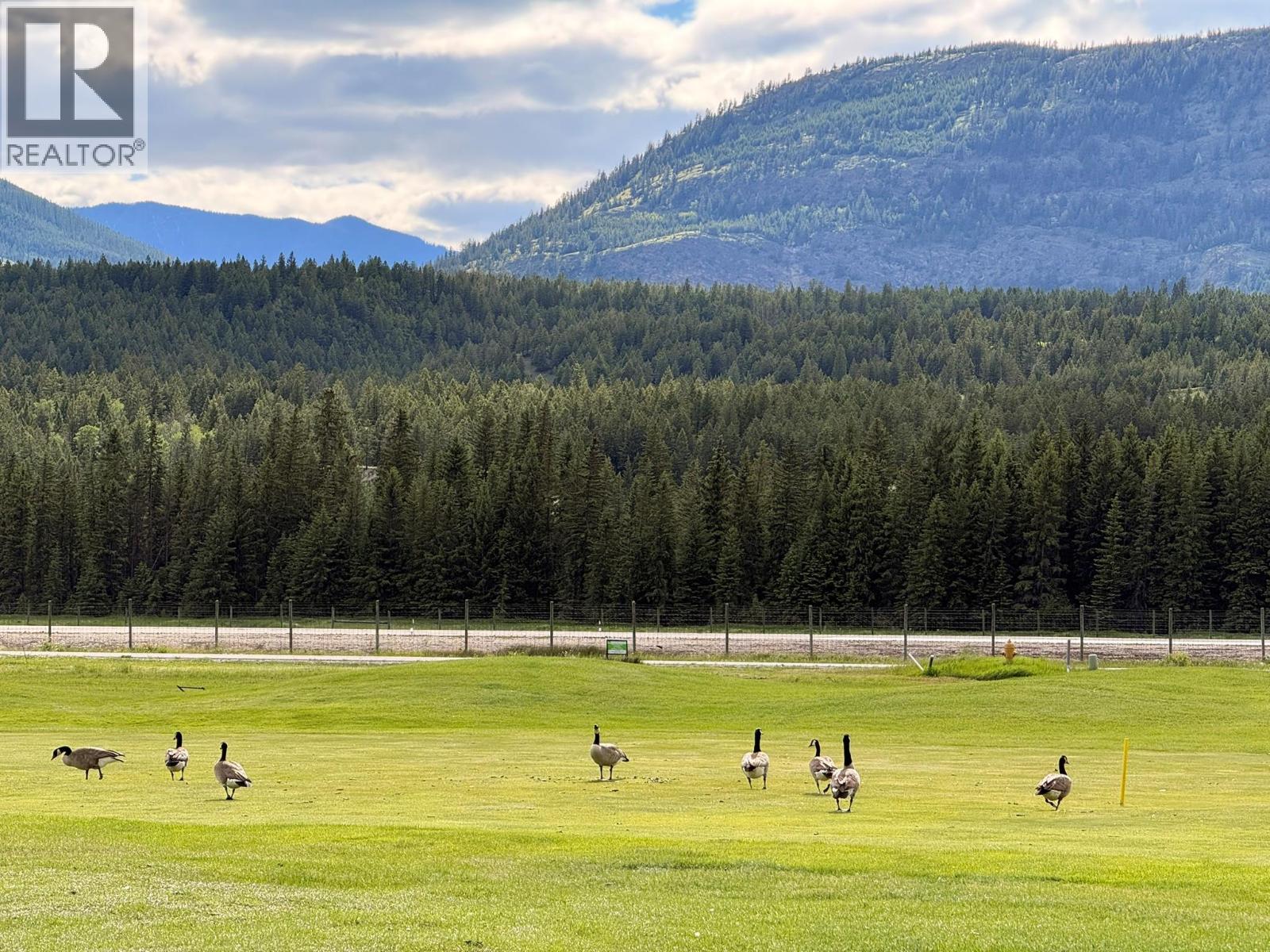 Lot 112 Riverside Drive, Fairmont Hot Springs, British Columbia  V0B 1L1 - Photo 20 - 10390000