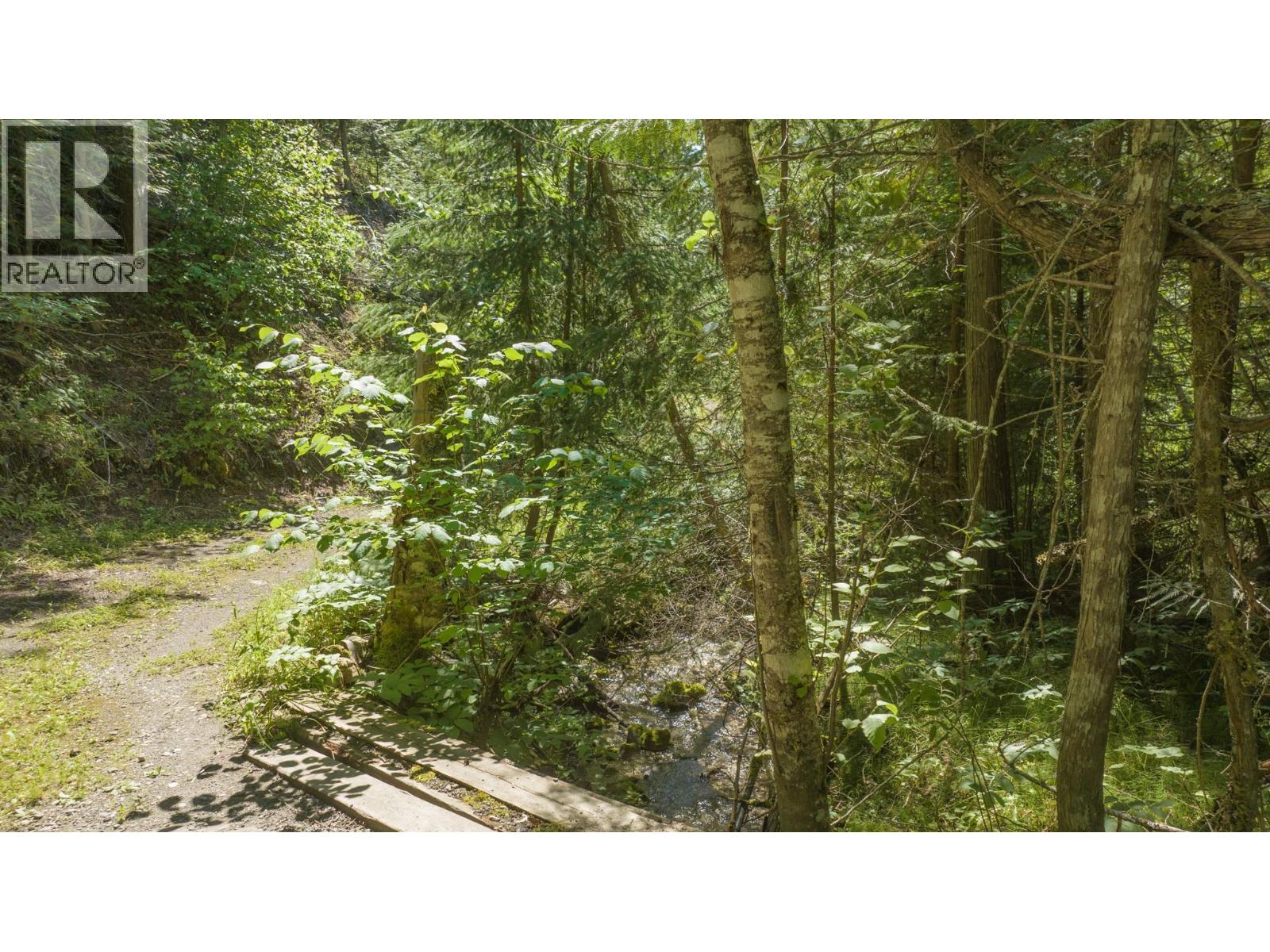 296 Trinity Valley Road, Lumby, British Columbia  V0E 2G4 - Photo 10 - 10390460
