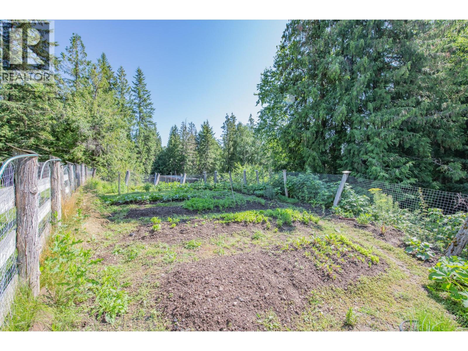 296 Trinity Valley Road, Lumby, British Columbia  V0E 2G4 - Photo 65 - 10390460