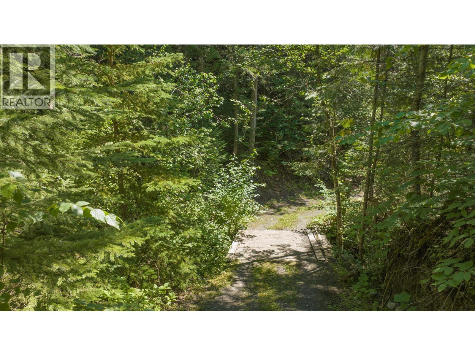296 Trinity Valley Road, Lumby, British Columbia  V0E 2G4 - Photo 86 - 10390460