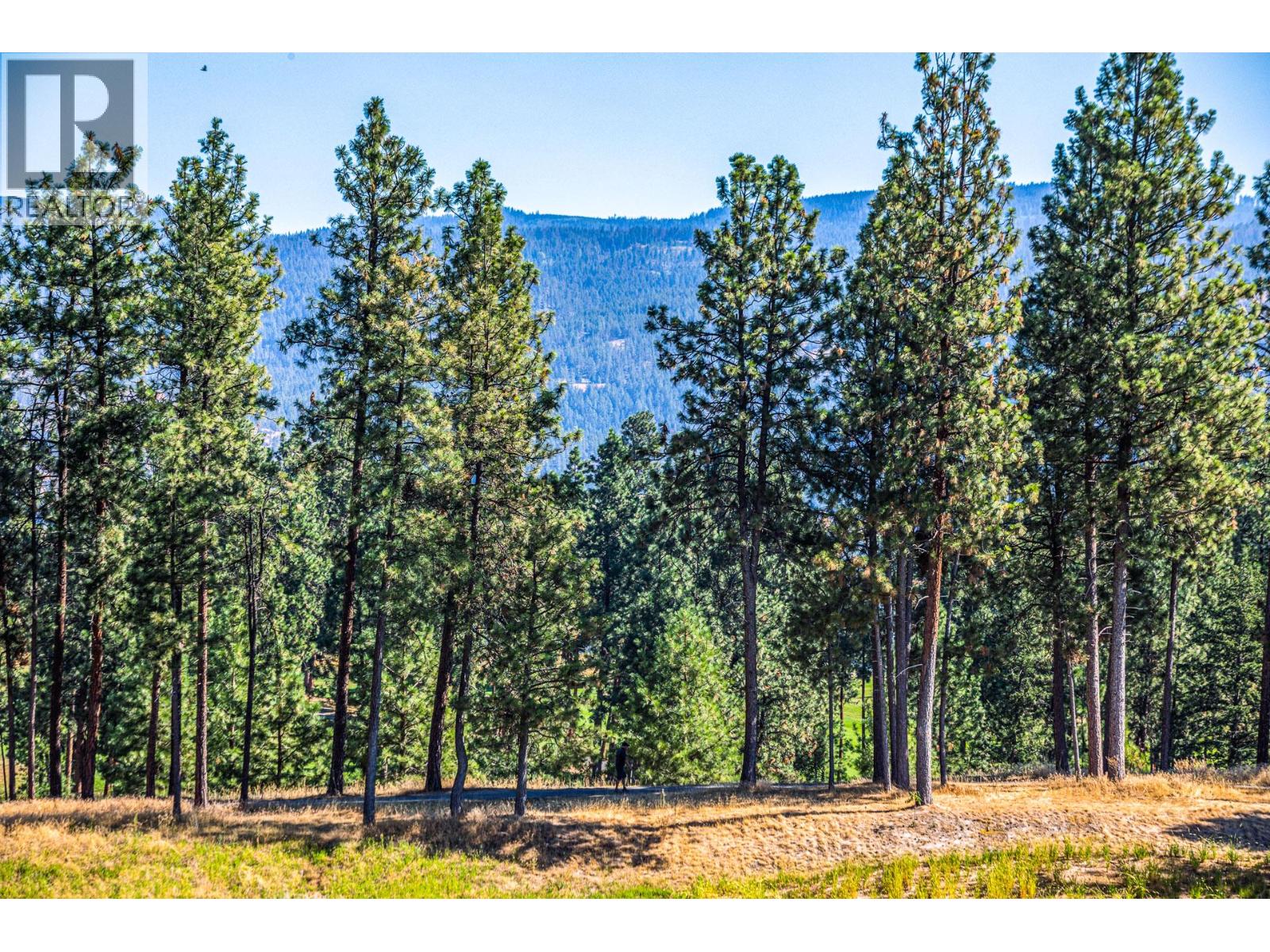3168 Via Centrale Road Unit# 1407, Kelowna, British Columbia  V1V 2R6 - Photo 30 - 10390247