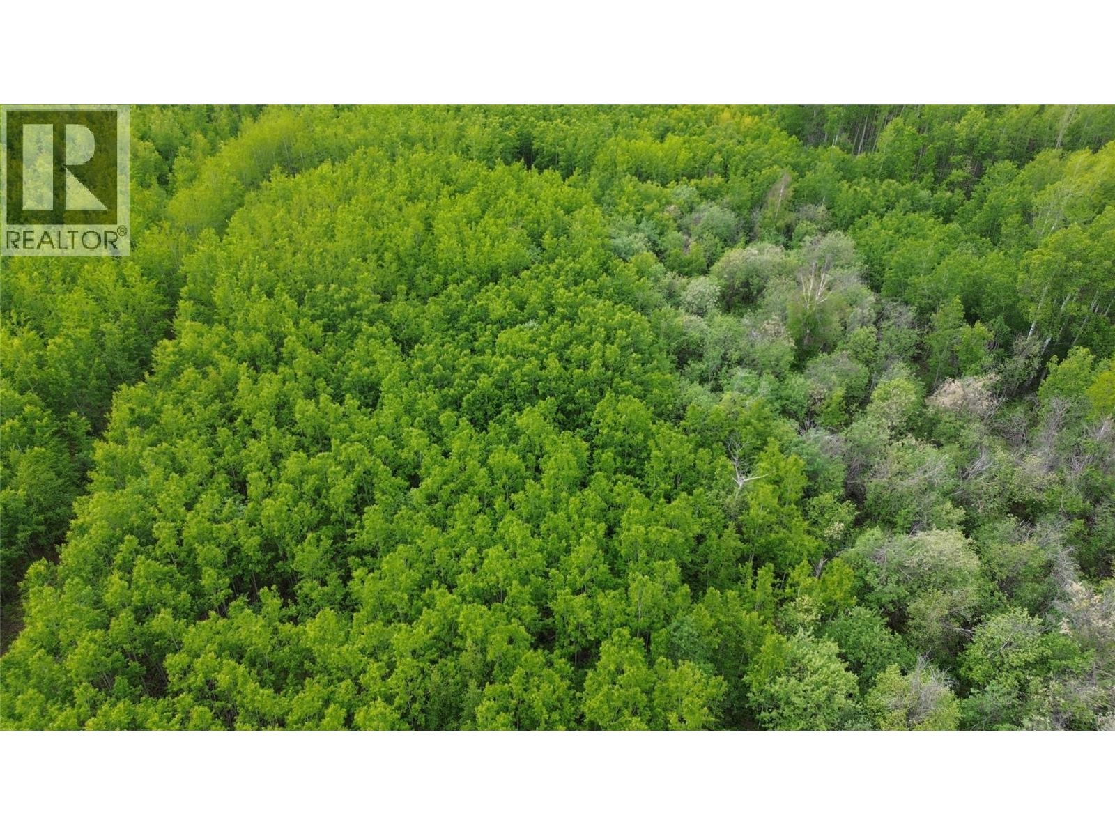9999 239 Road, Farmington, British Columbia  V0C 1N0 - Photo 13 - 10391166