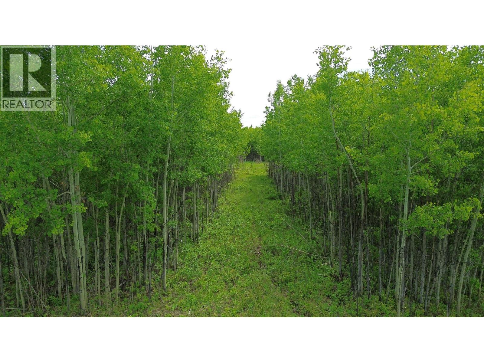 9999 239 Road, Farmington, British Columbia  V0C 1N0 - Photo 2 - 10391166
