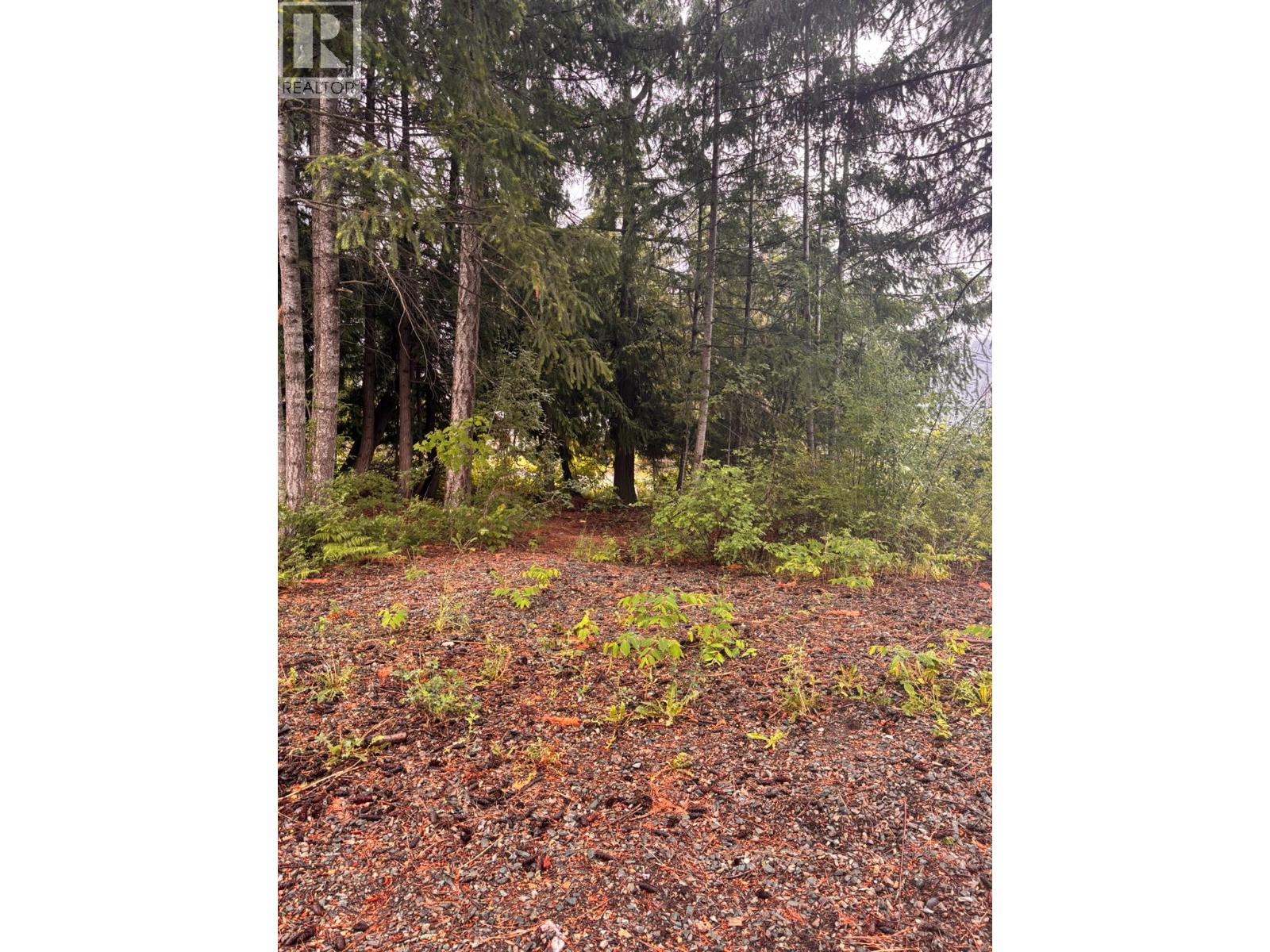 5231 Tallington Drive, Celista, British Columbia  V0E 1M6 - Photo 4 - 10391158