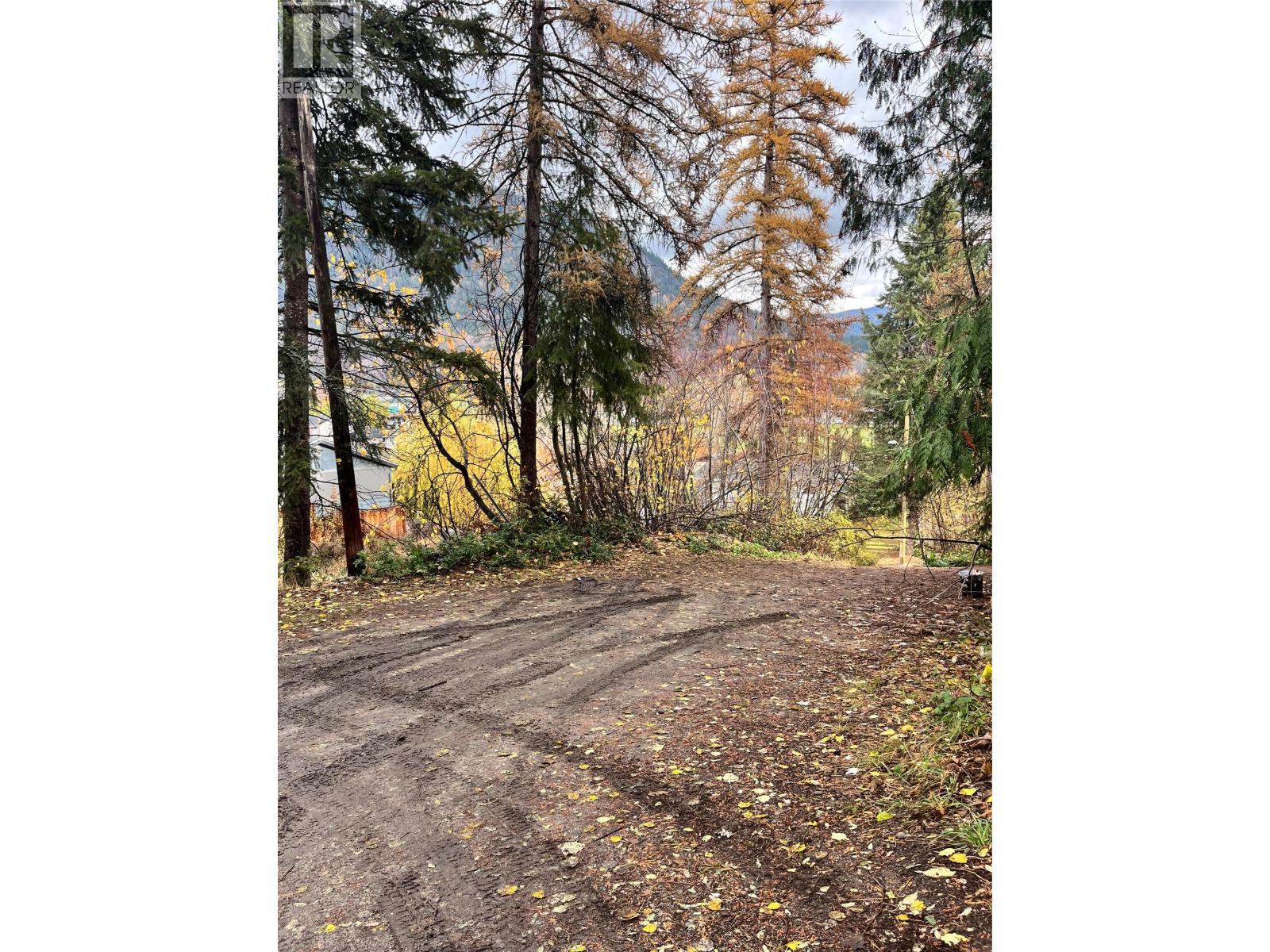 9TH Avenue, castlegar, British Columbia