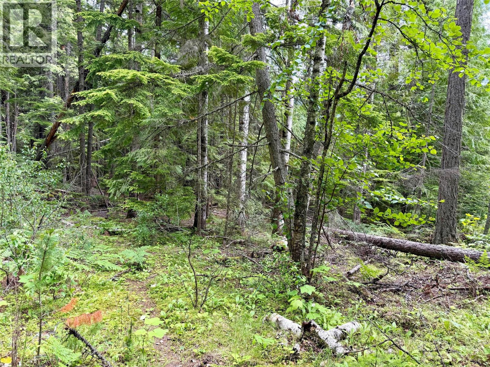Lot D Kane Road, nelson, British Columbia