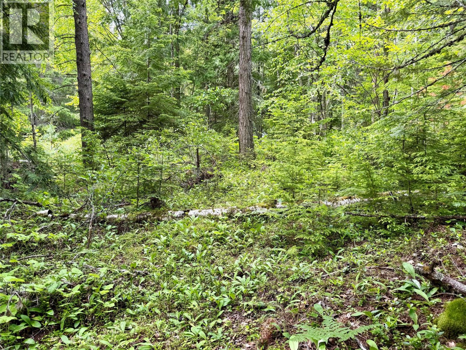 Lot D Kane Road, Nelson, British Columbia  V1L 6S9 - Photo 2 - 10391222