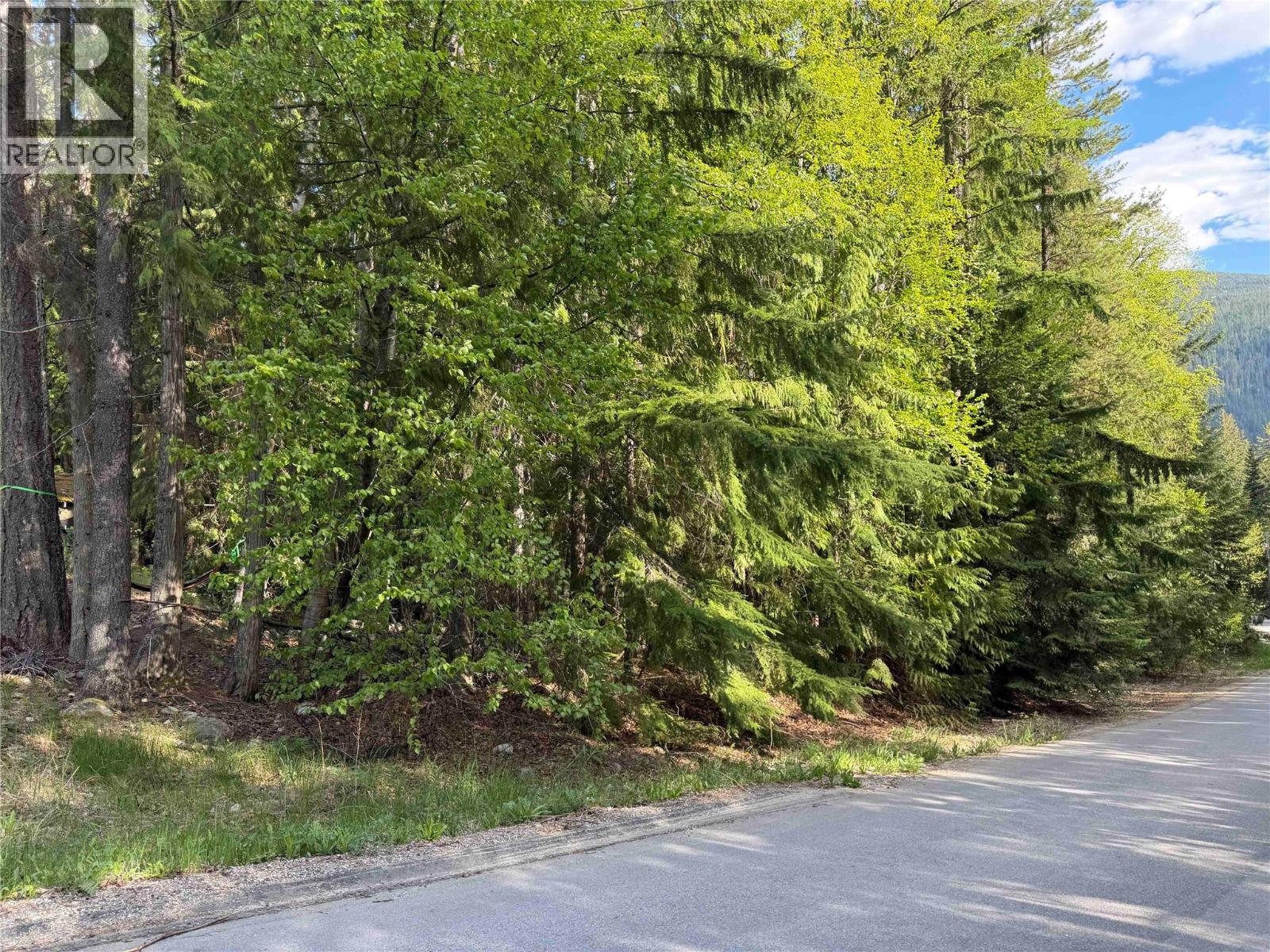 Lot D Kane Road, Nelson, British Columbia  V1L 6S9 - Photo 4 - 10391222