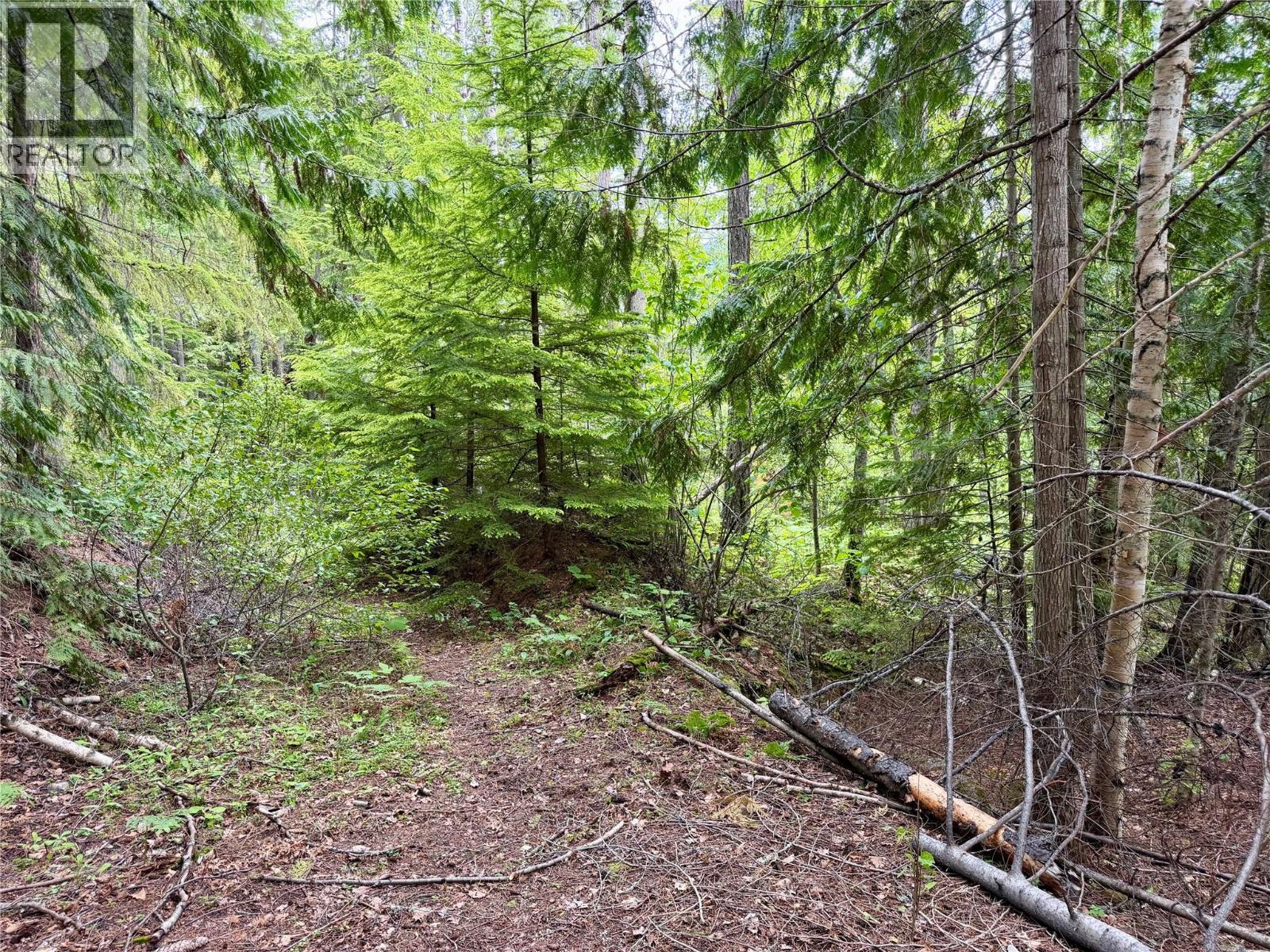 Lot D Kane Road, Nelson, British Columbia  V1L 6S9 - Photo 6 - 10391222