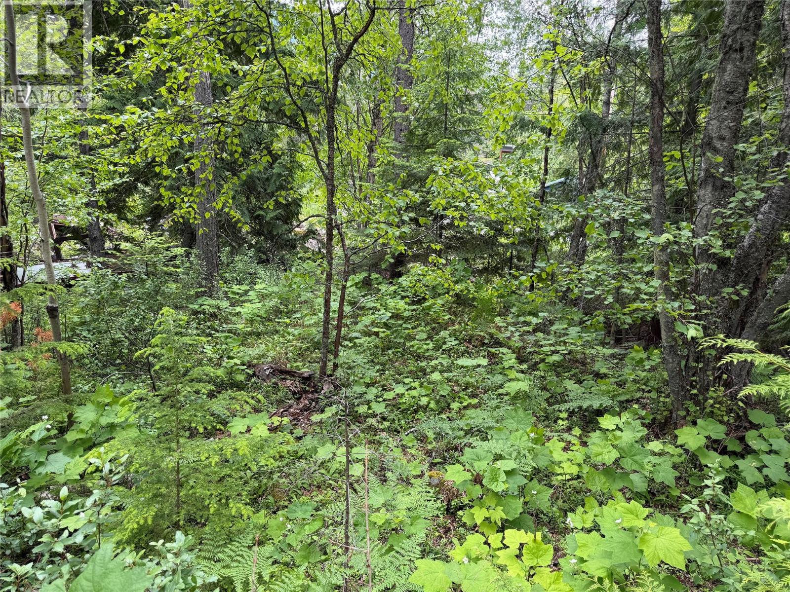 Lot D Kane Road, Nelson, British Columbia  V1L 6S9 - Photo 7 - 10391222