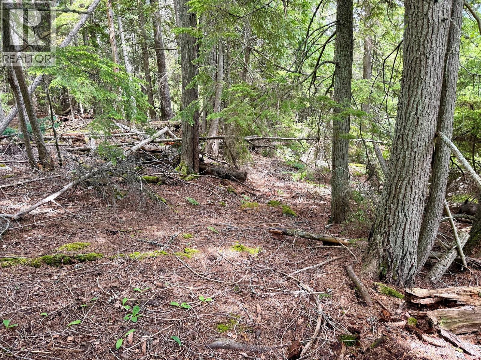 Lot D Kane Road, Nelson, British Columbia  V1L 6S9 - Photo 8 - 10391222