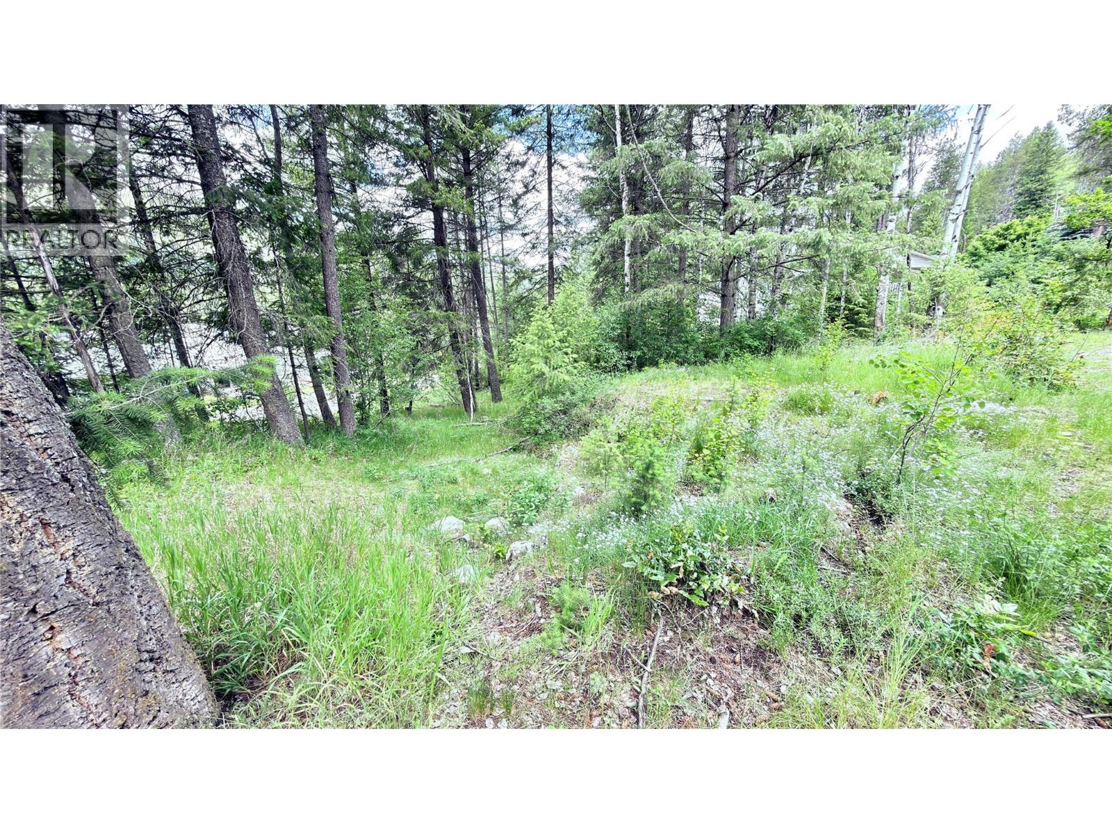 550 Strathmore Avenue, Greenwood, British Columbia  V0H 1J0 - Photo 12 - 10391260