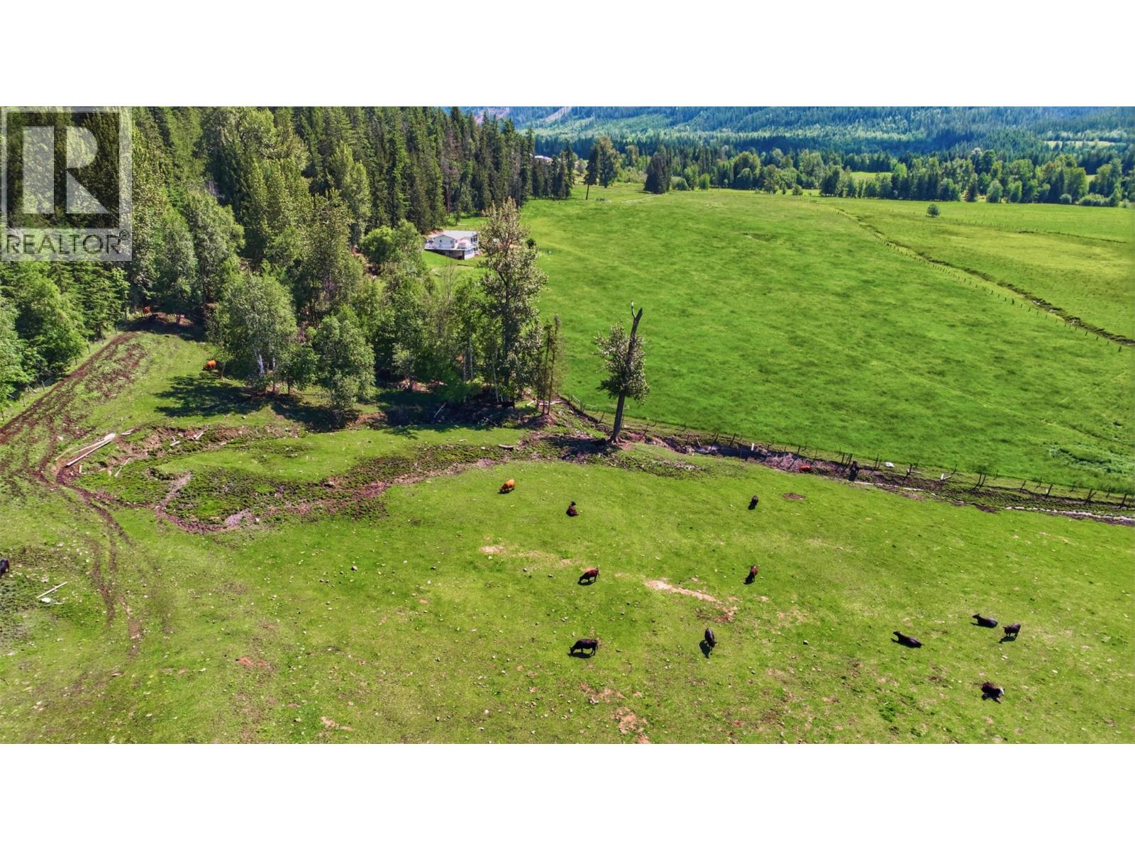33 Lang Road, Cherryville, British Columbia  V0E 2G3 - Photo 25 - 10391252