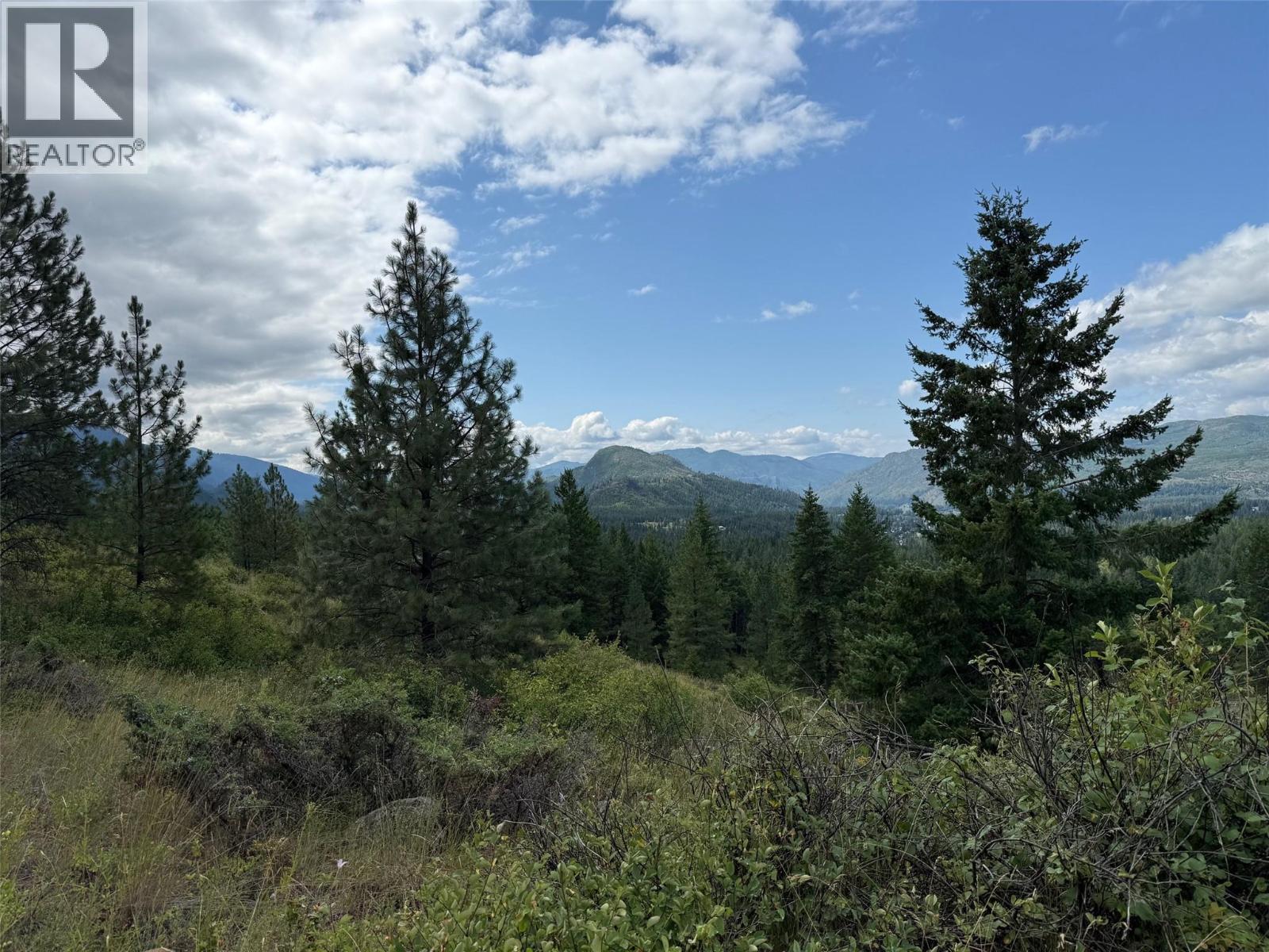 Lot 2 Gordon Creek Road, Barriere, British Columbia  V0E 1E0 - Photo 10 - 10391274