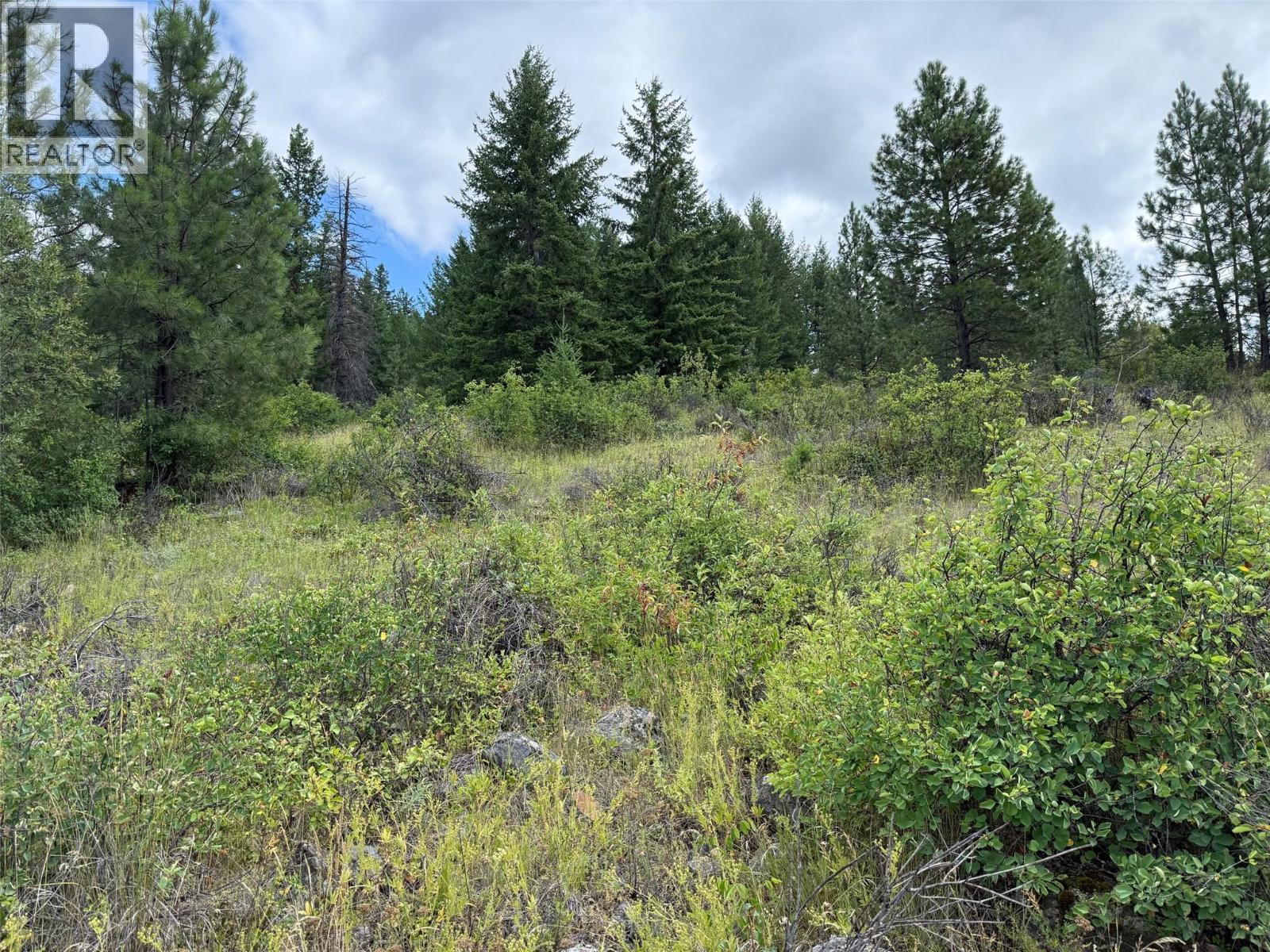 Lot 2 Gordon Creek Road, Barriere, British Columbia  V0E 1E0 - Photo 11 - 10391274